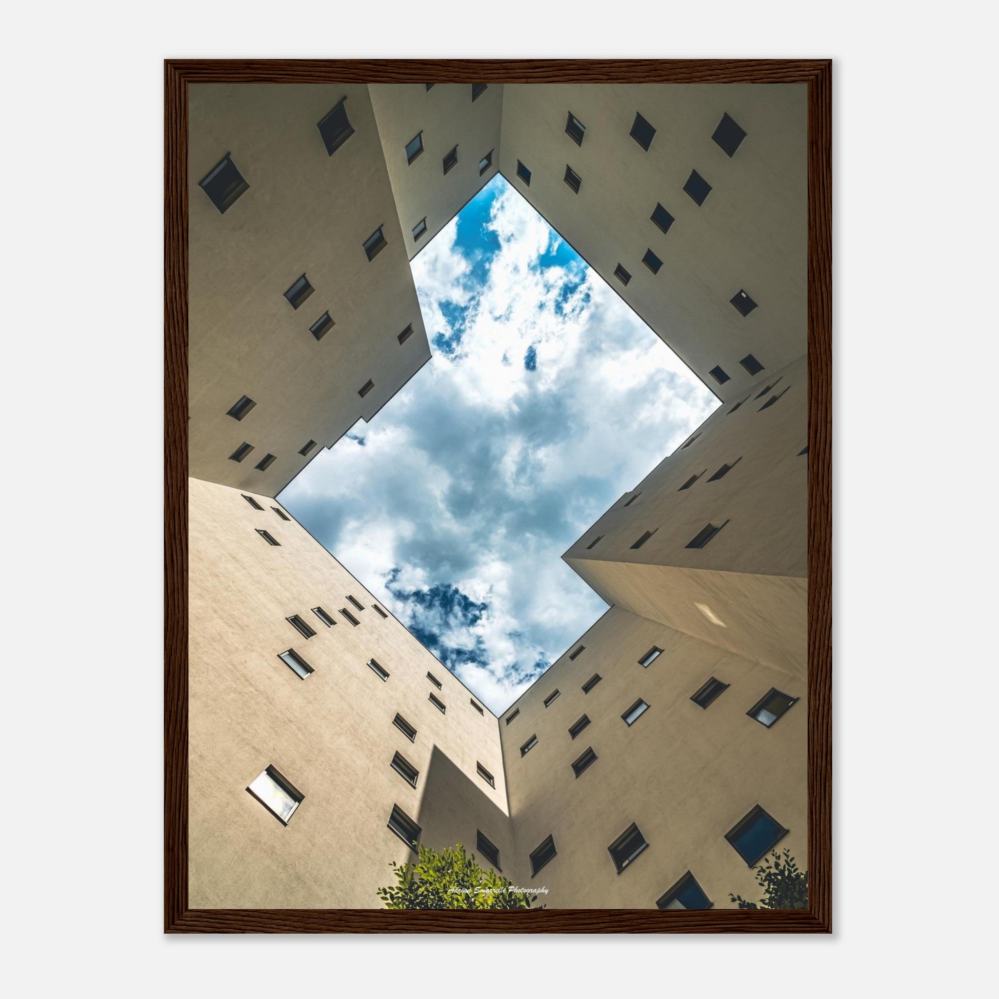 d65b09ed-3e29-4b17-85e0-02bb31d08726