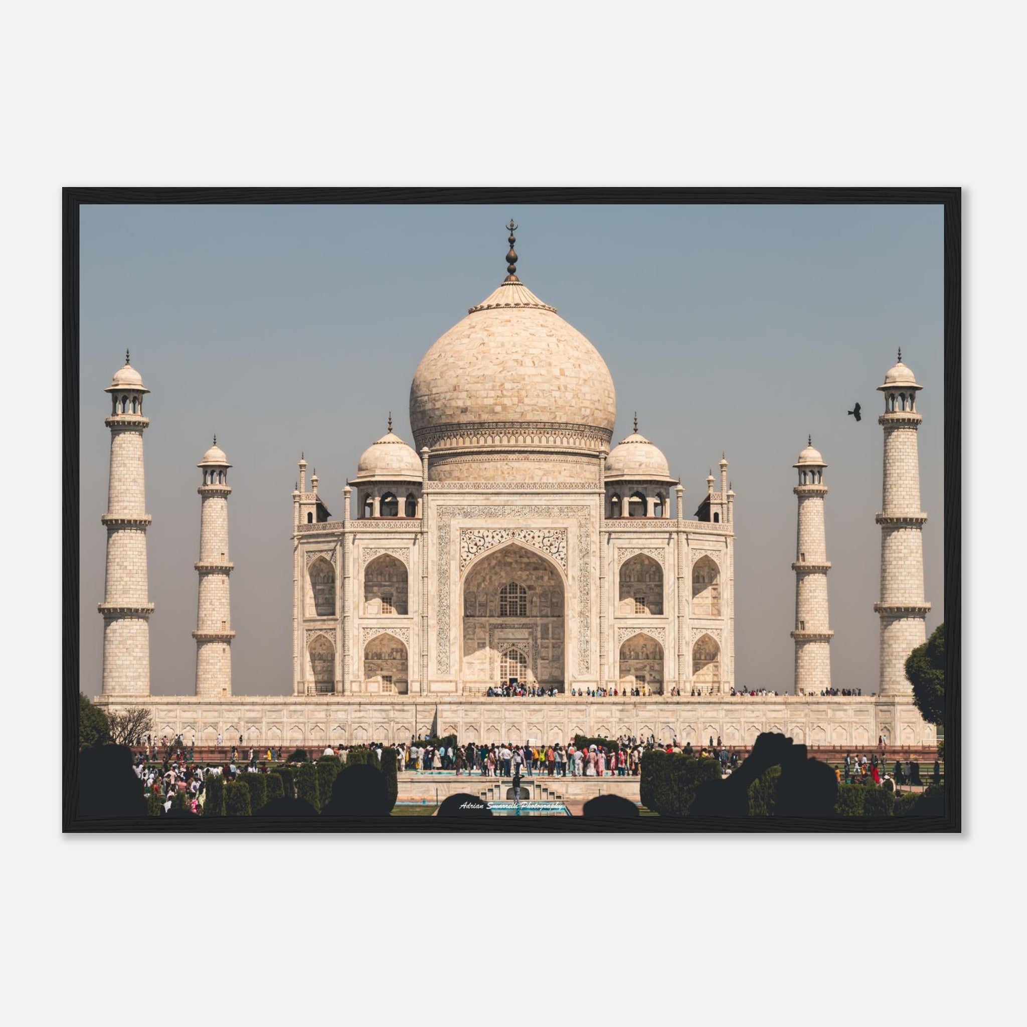 d67ff600-866e-4394-9ffe-f9c3c9101d96