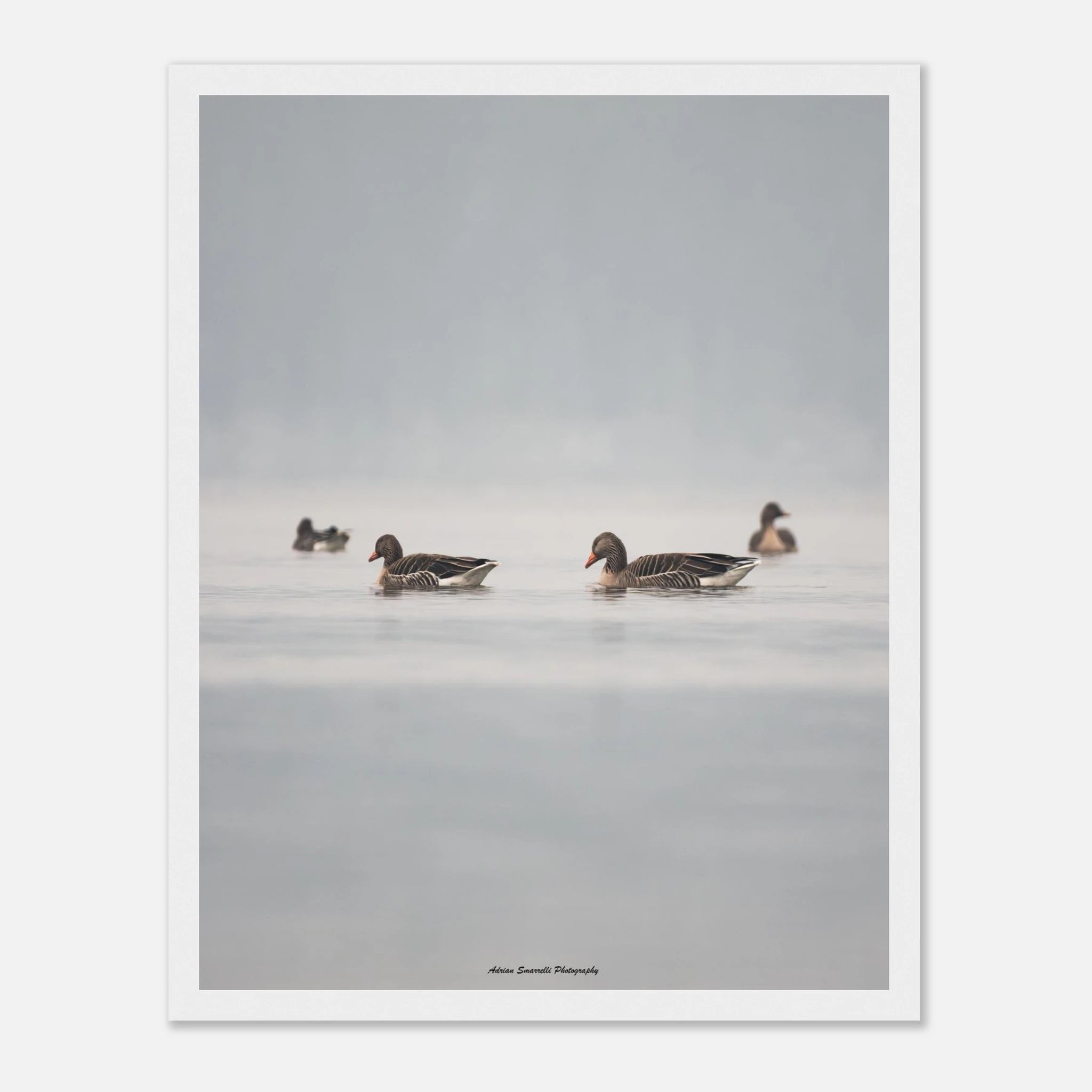 d7be847c-38df-4b5b-9bee-d559a6412ea8