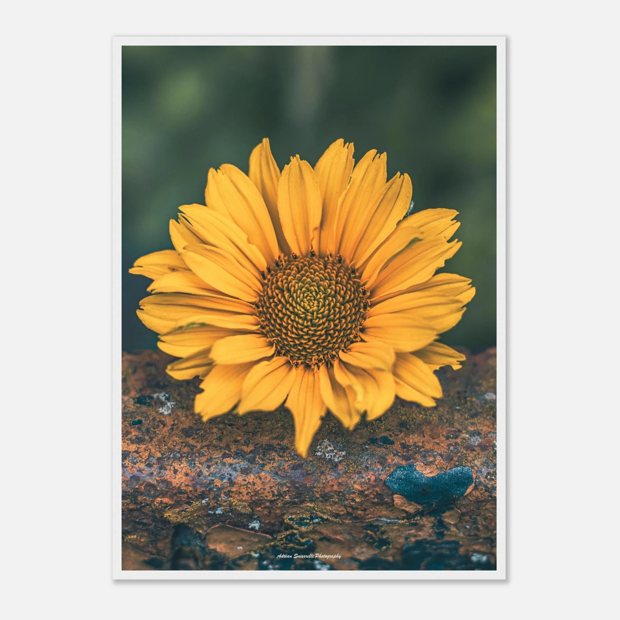 d8157044-2529-4833-8c11-2f4c7c2dc67c