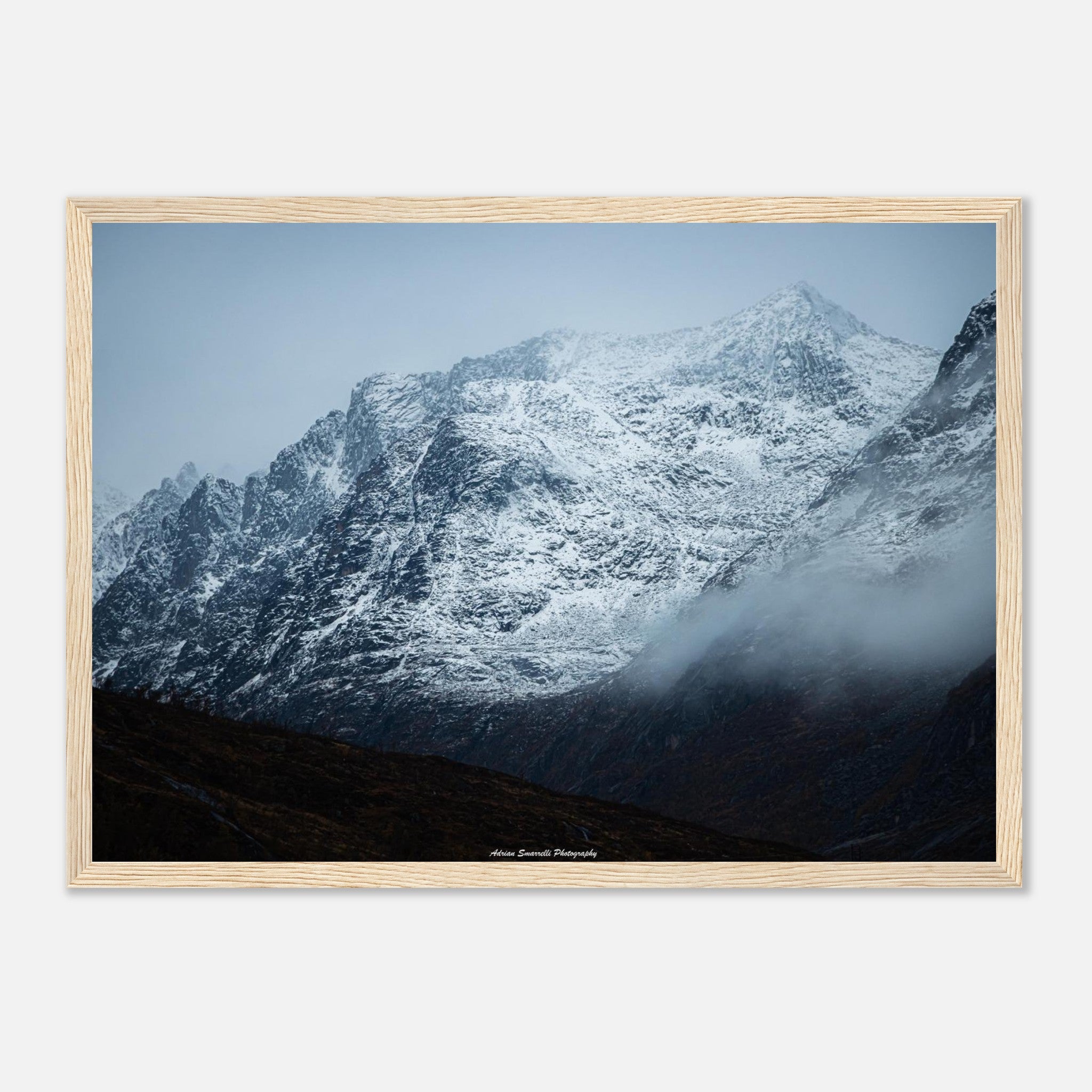 d847f544-f6fe-476c-ae79-8f4c9c3719c1