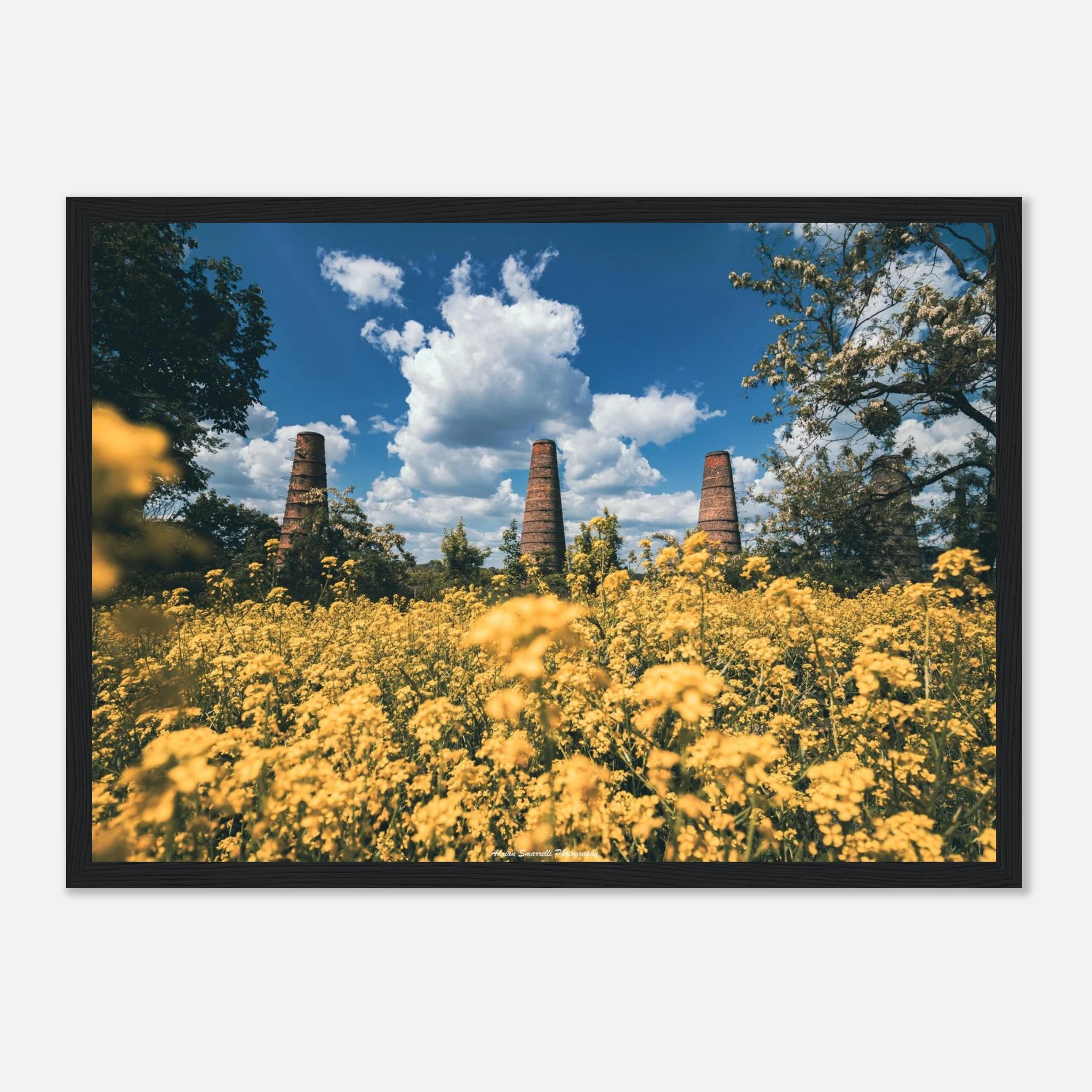 d947bb49-8de1-434c-a78d-c000010c8796