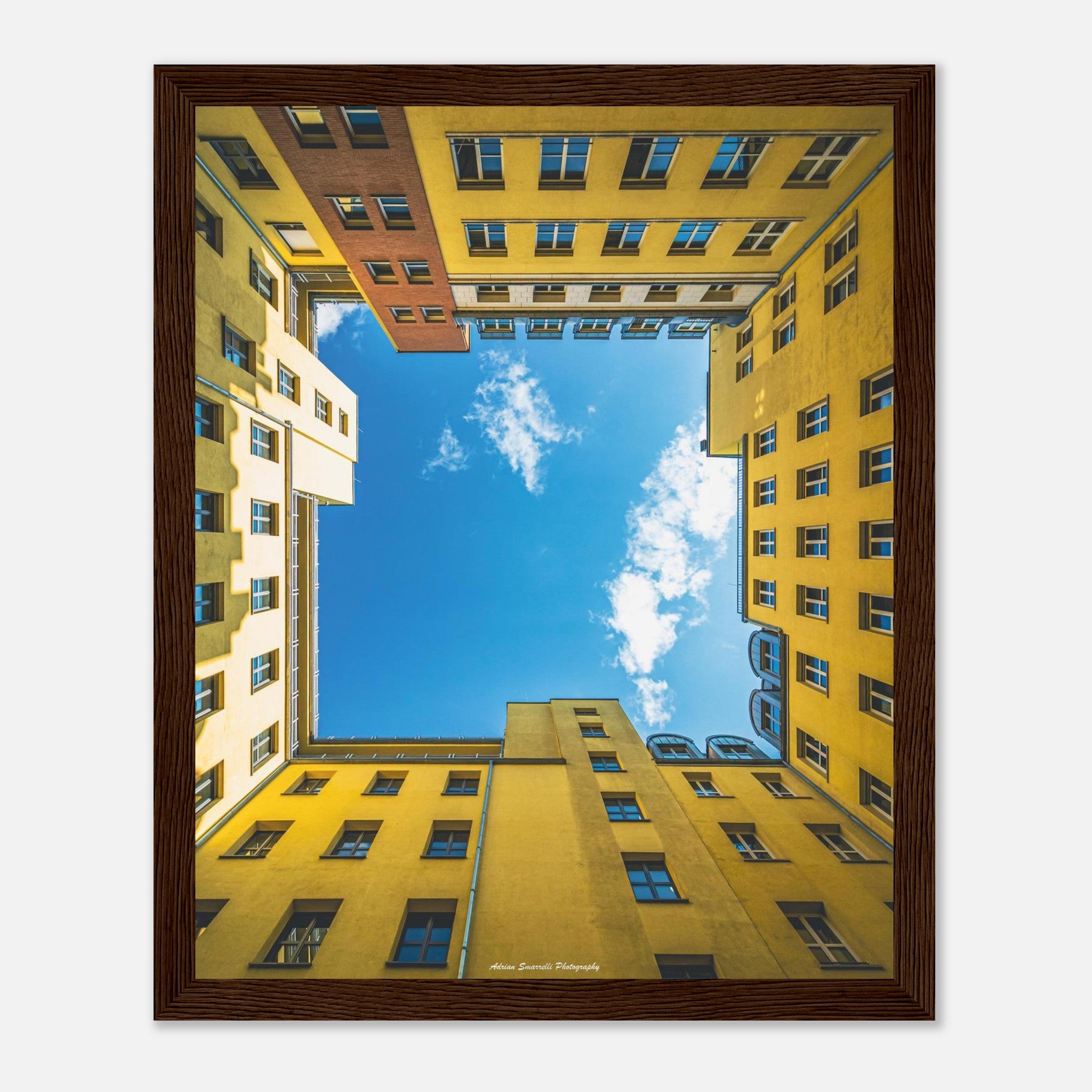 da205388-58d5-46d7-9628-37b9a2dc7e4a