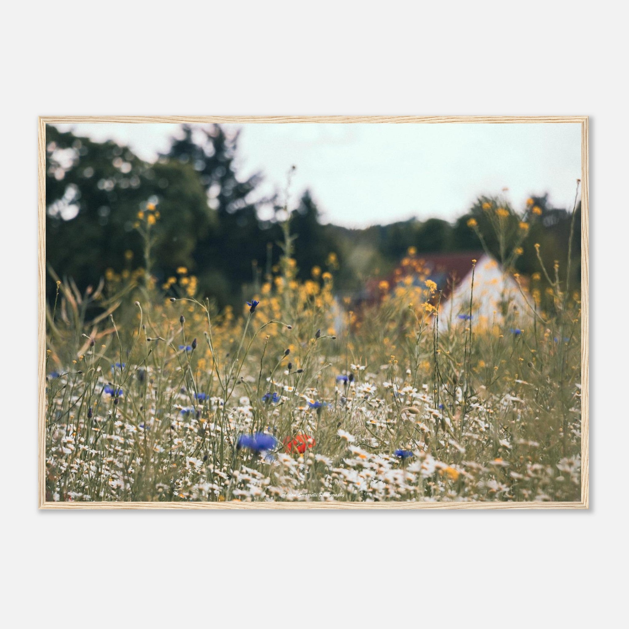 db301f8f-5f8a-4d52-83f4-6142156ada86