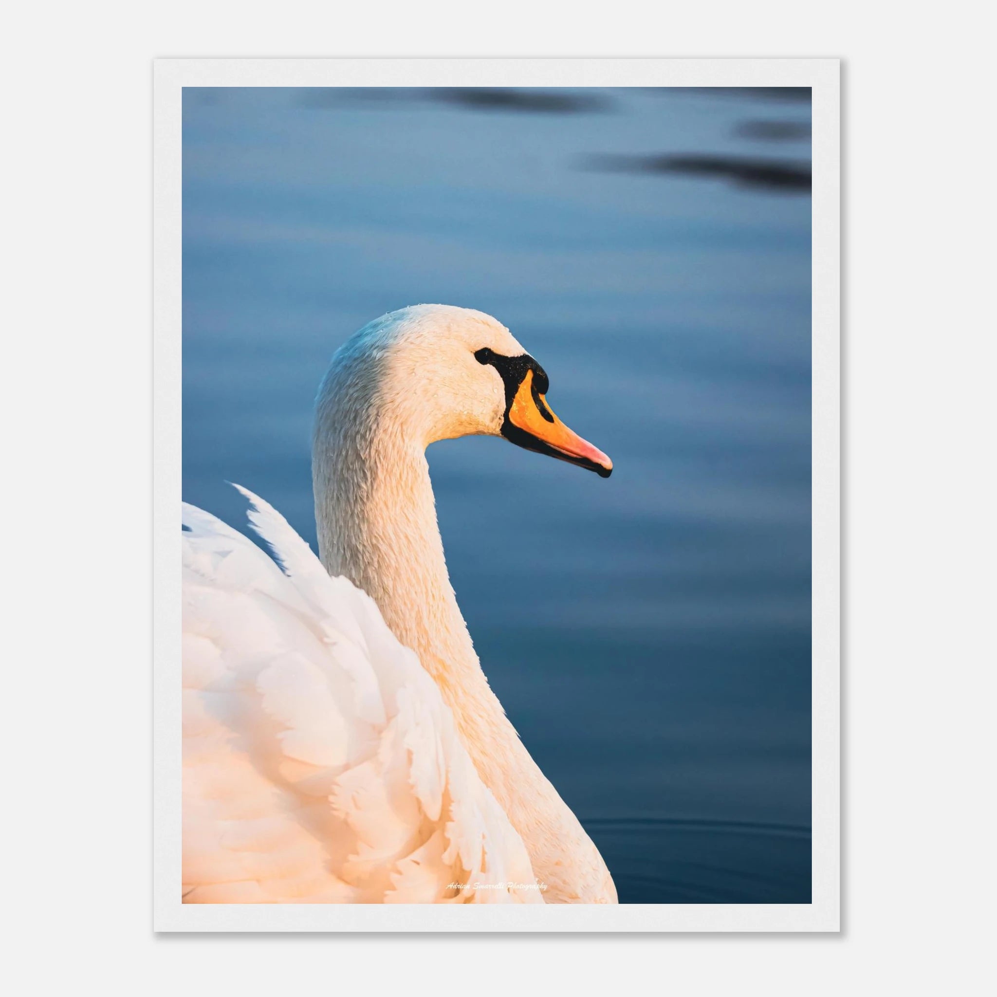 dc07fc43-b13b-493b-a233-8b87724f95d2