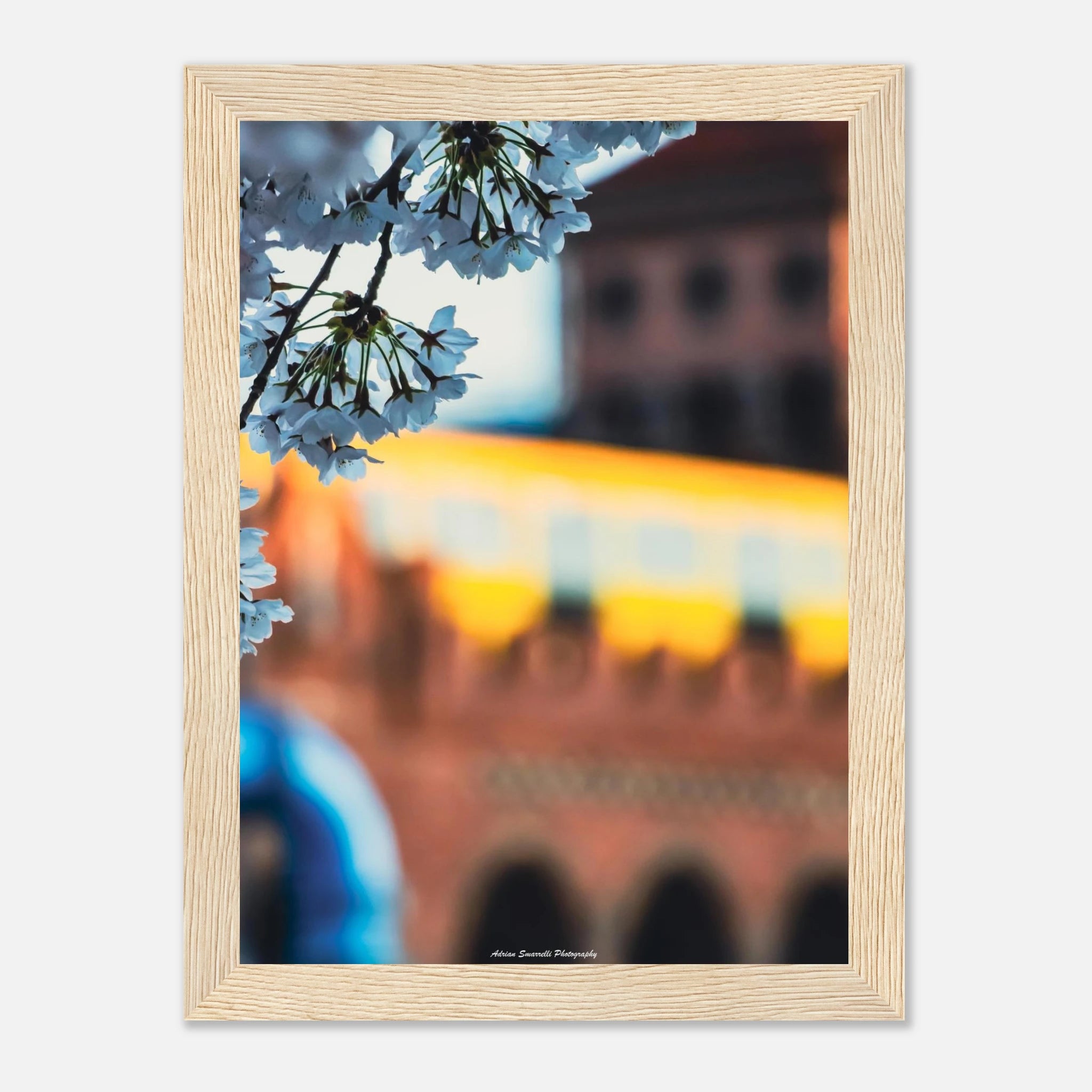 dda53048-8e1d-497a-b4da-86c140a264f4