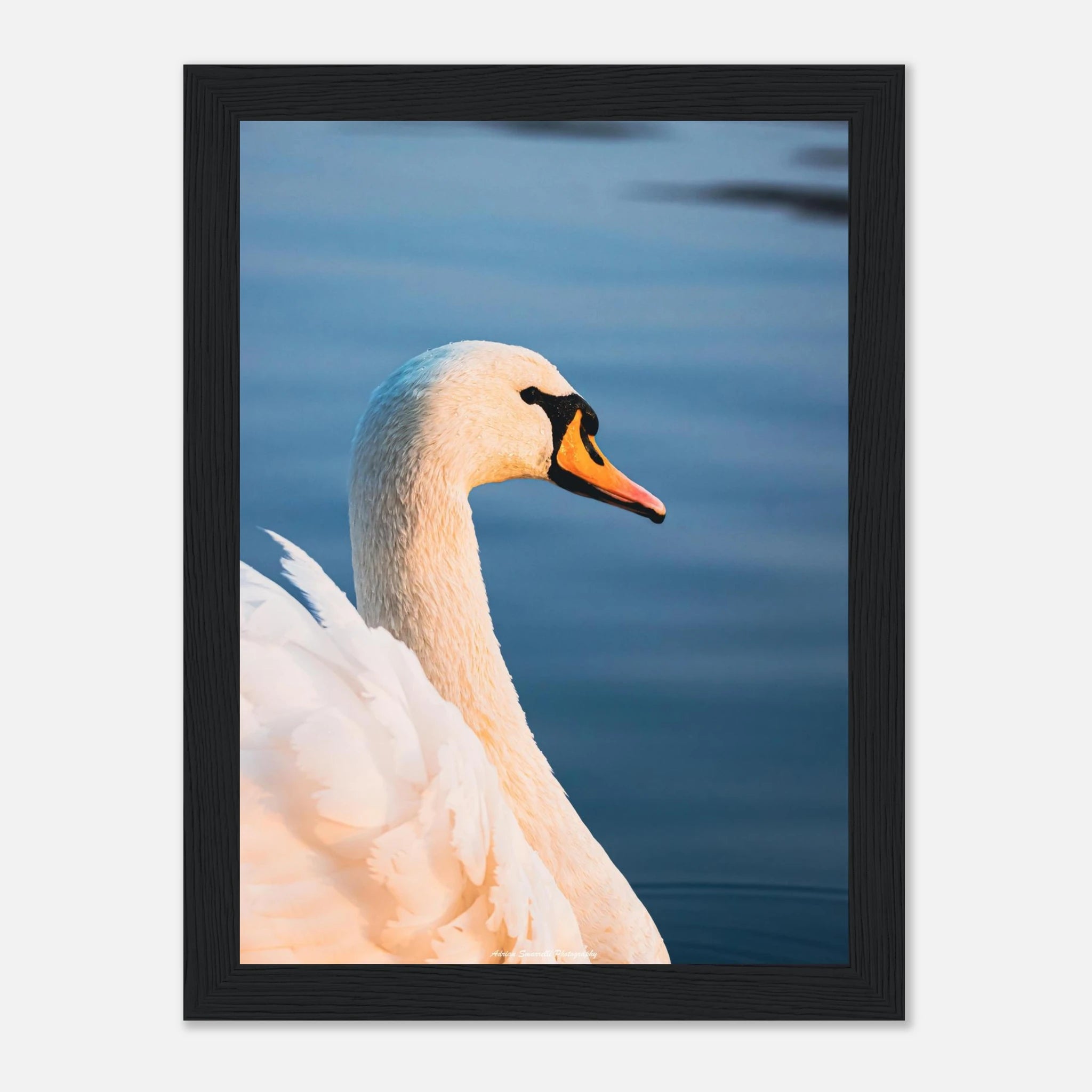 ddb0a7f6-7c9d-4cd4-9b32-be8994768b78