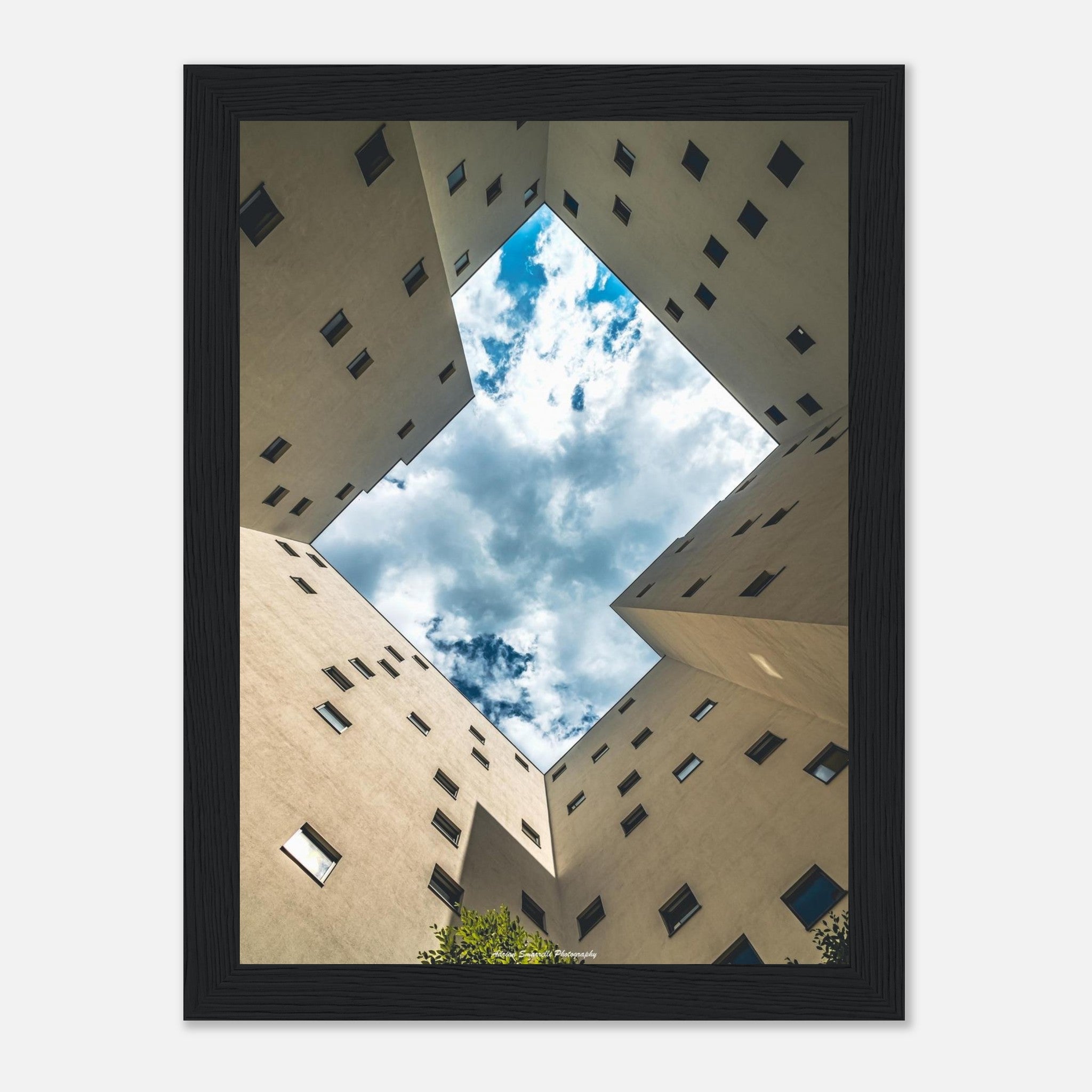 de8bdd6d-feeb-4d8f-8aef-8275da7f490d