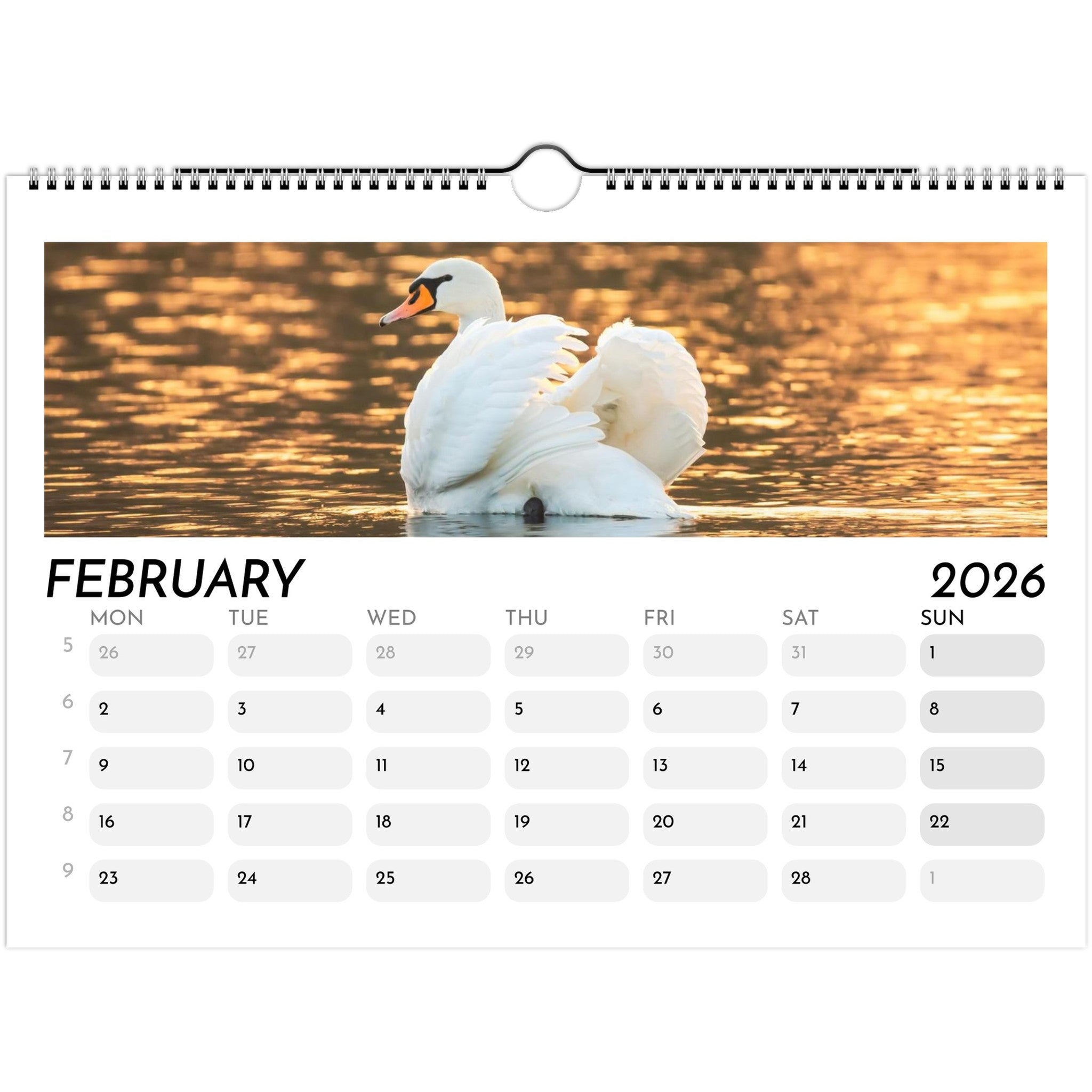 de91ae42-6b4f-4424-a612-1b1b781302de