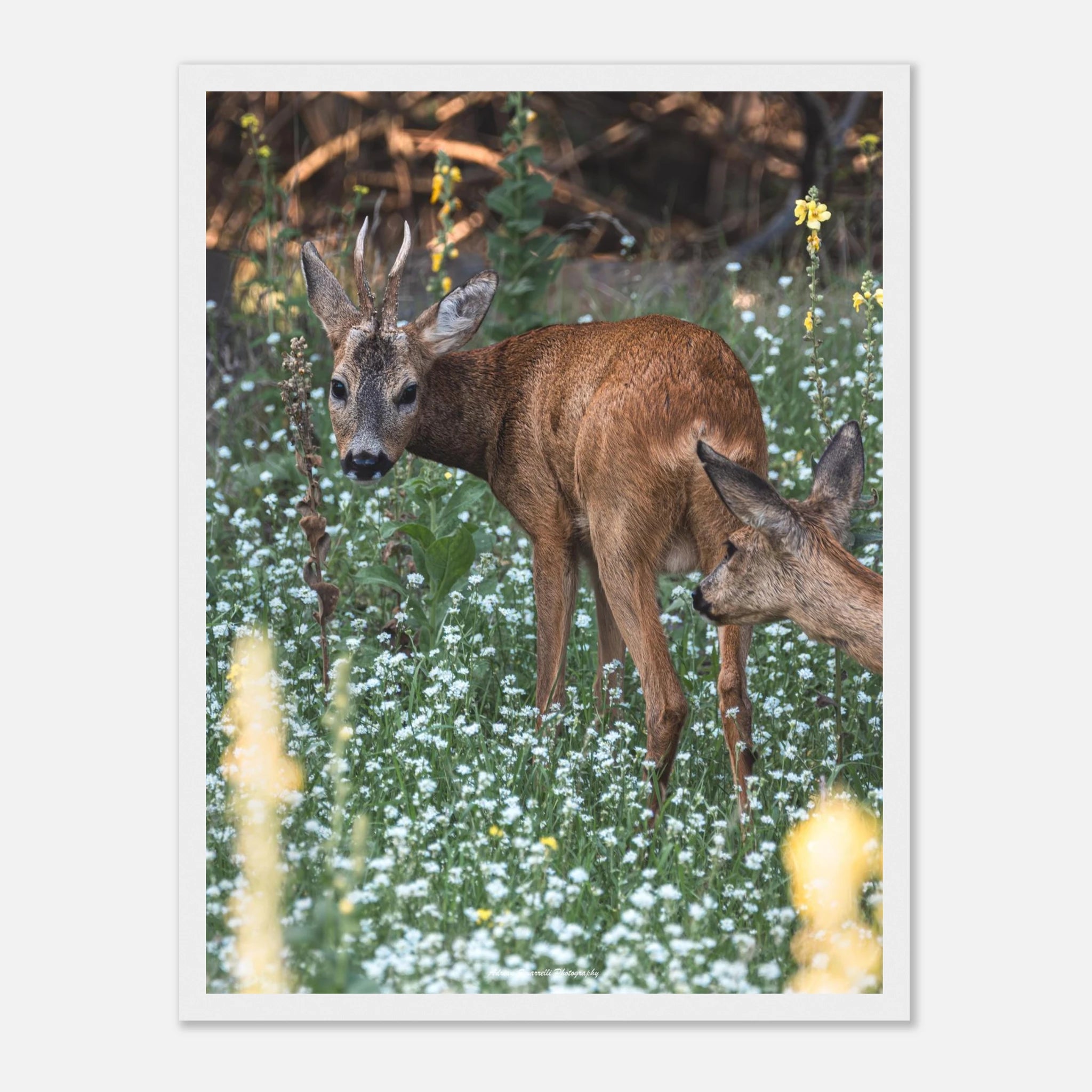 df398514-ebe2-4ed2-bd23-d2a1667b67c0