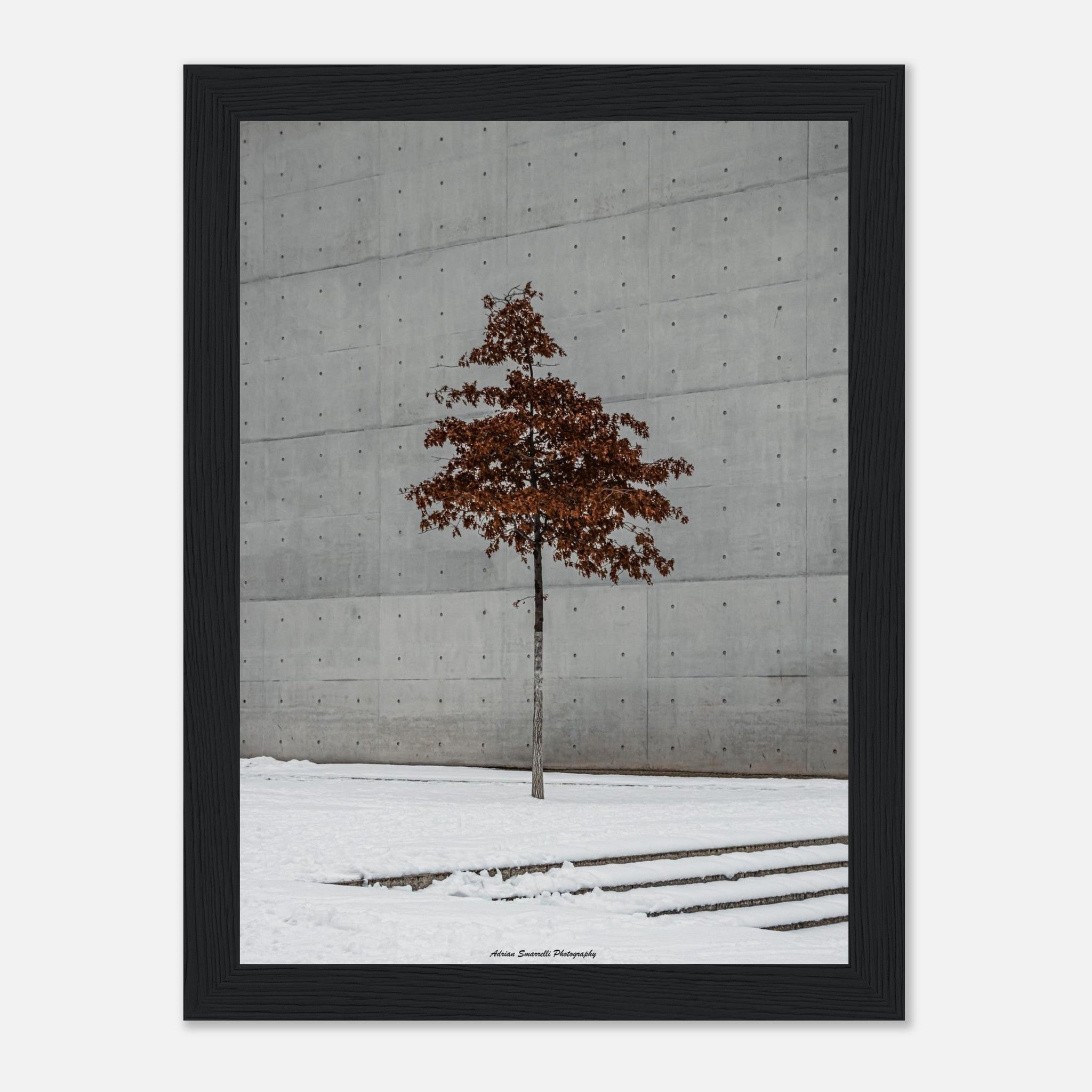 e08c8083-f026-4930-95a4-dedc51eb31f0