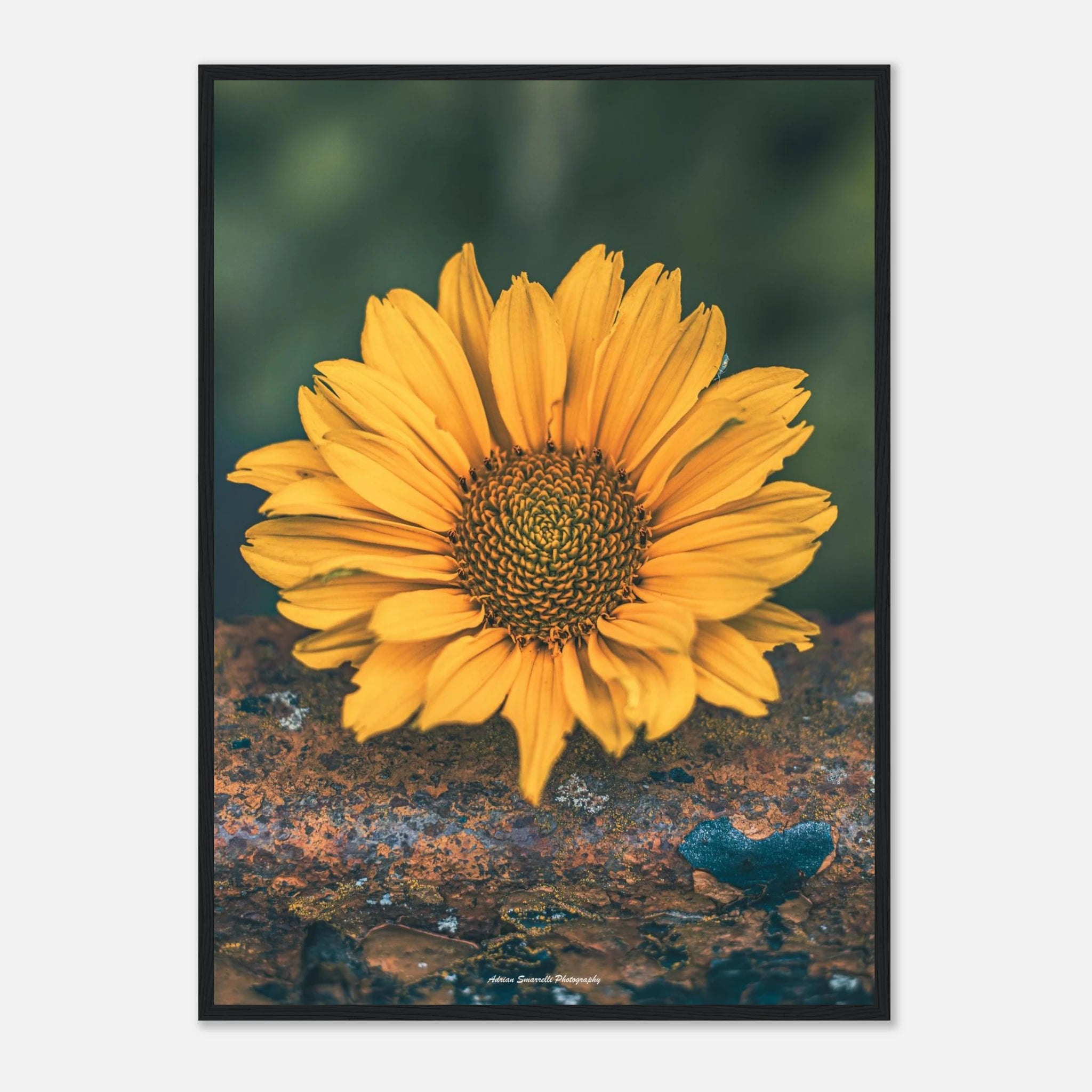 e0e1d25e-0fcb-472f-a939-e06bc08e1611