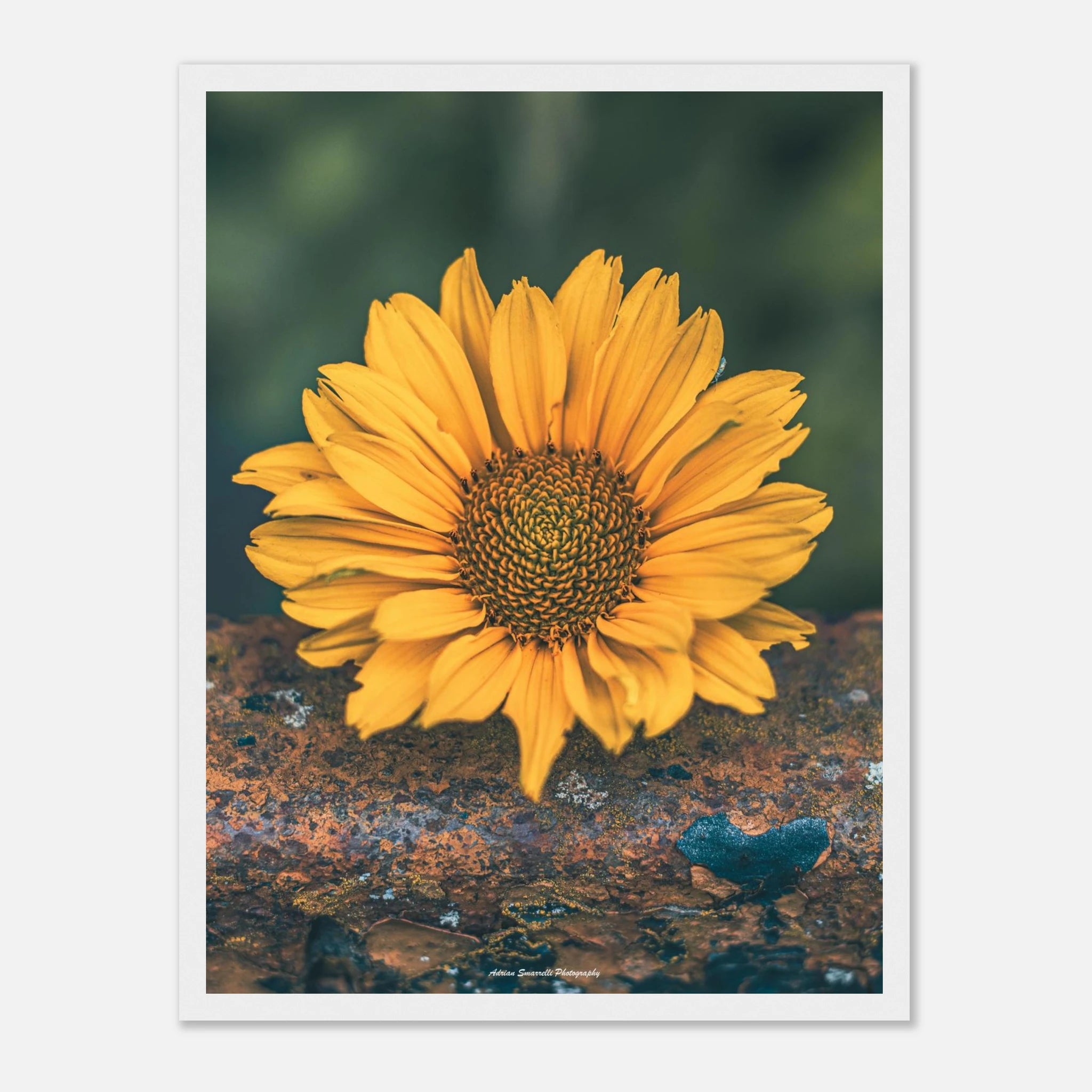 e142e28f-5e04-4e3d-a23d-d1ef78423574