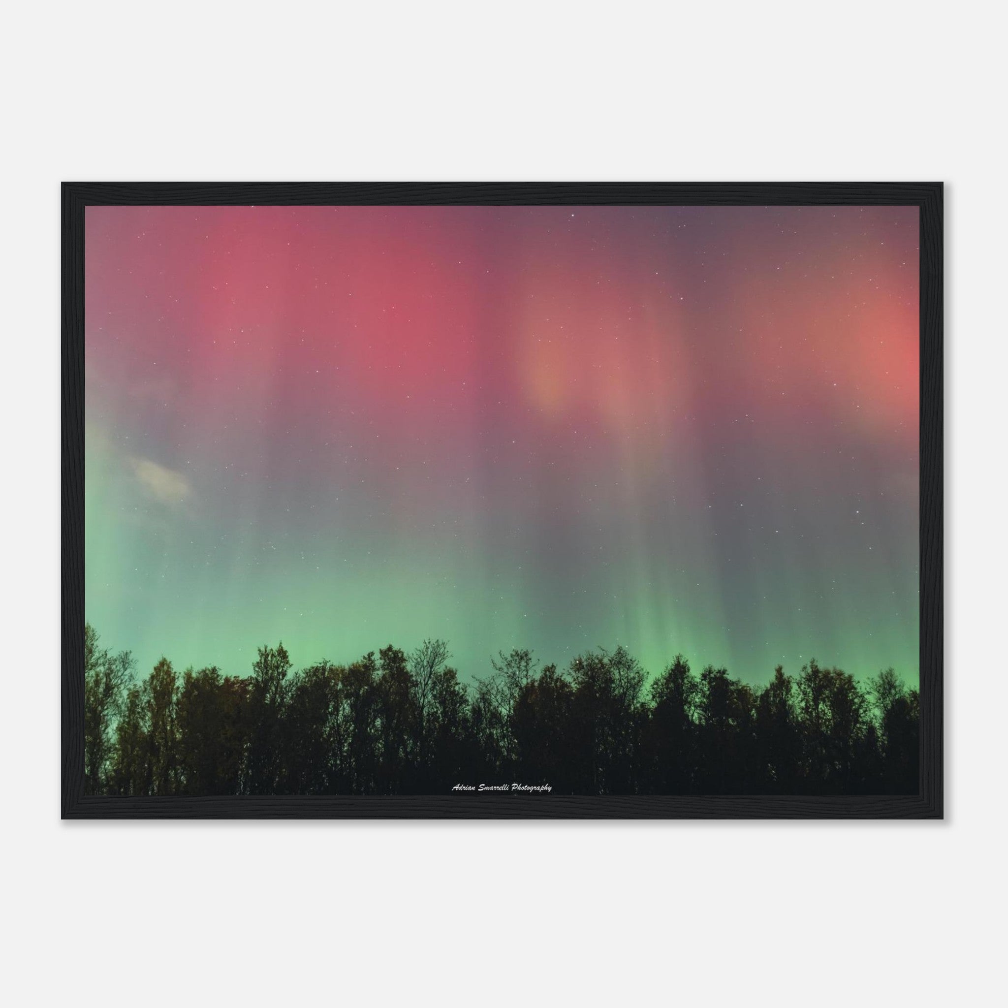 e35031ac-7cac-41ac-95c6-bf3ea80eb790