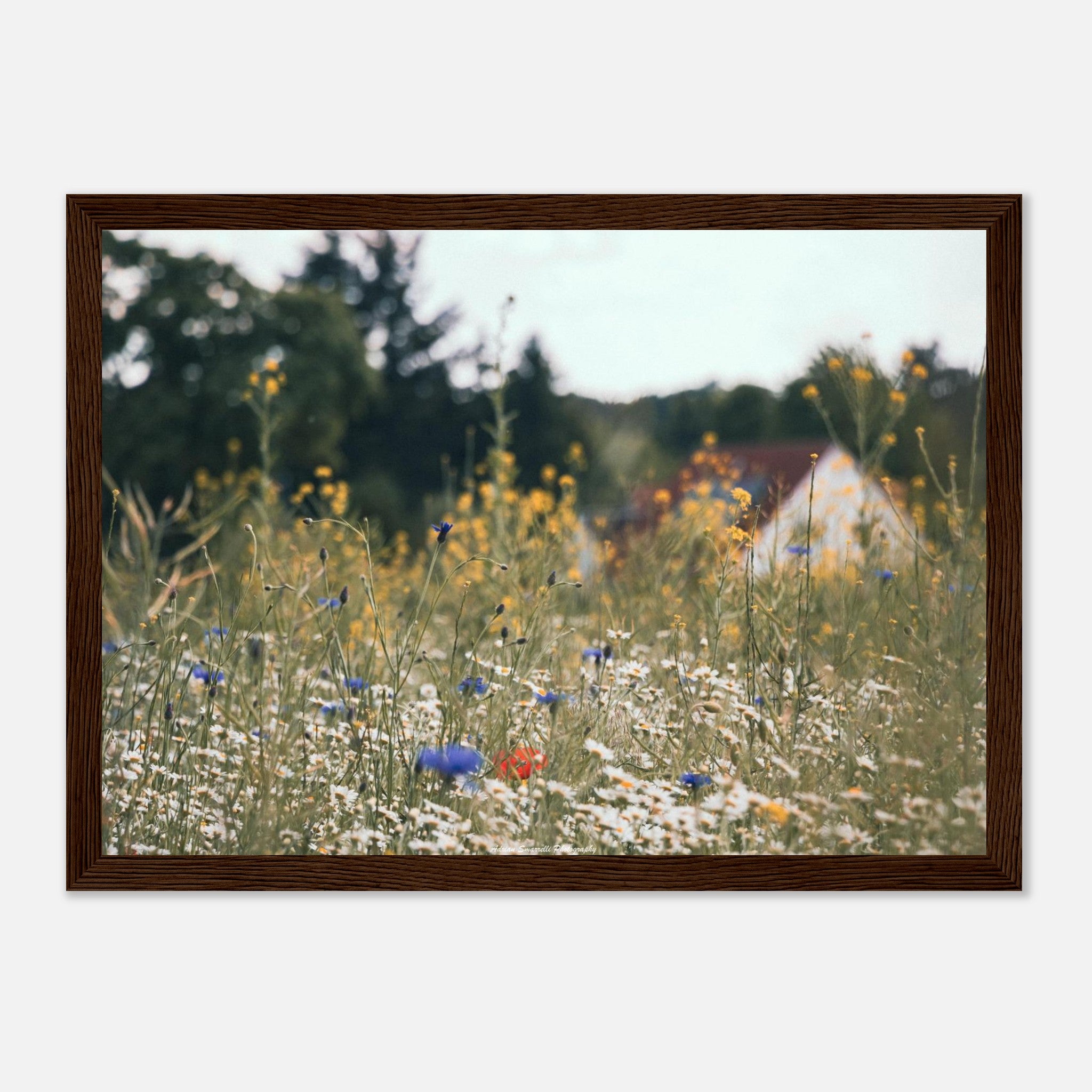 e444002e-f337-47ff-818c-c4b9fac77caf