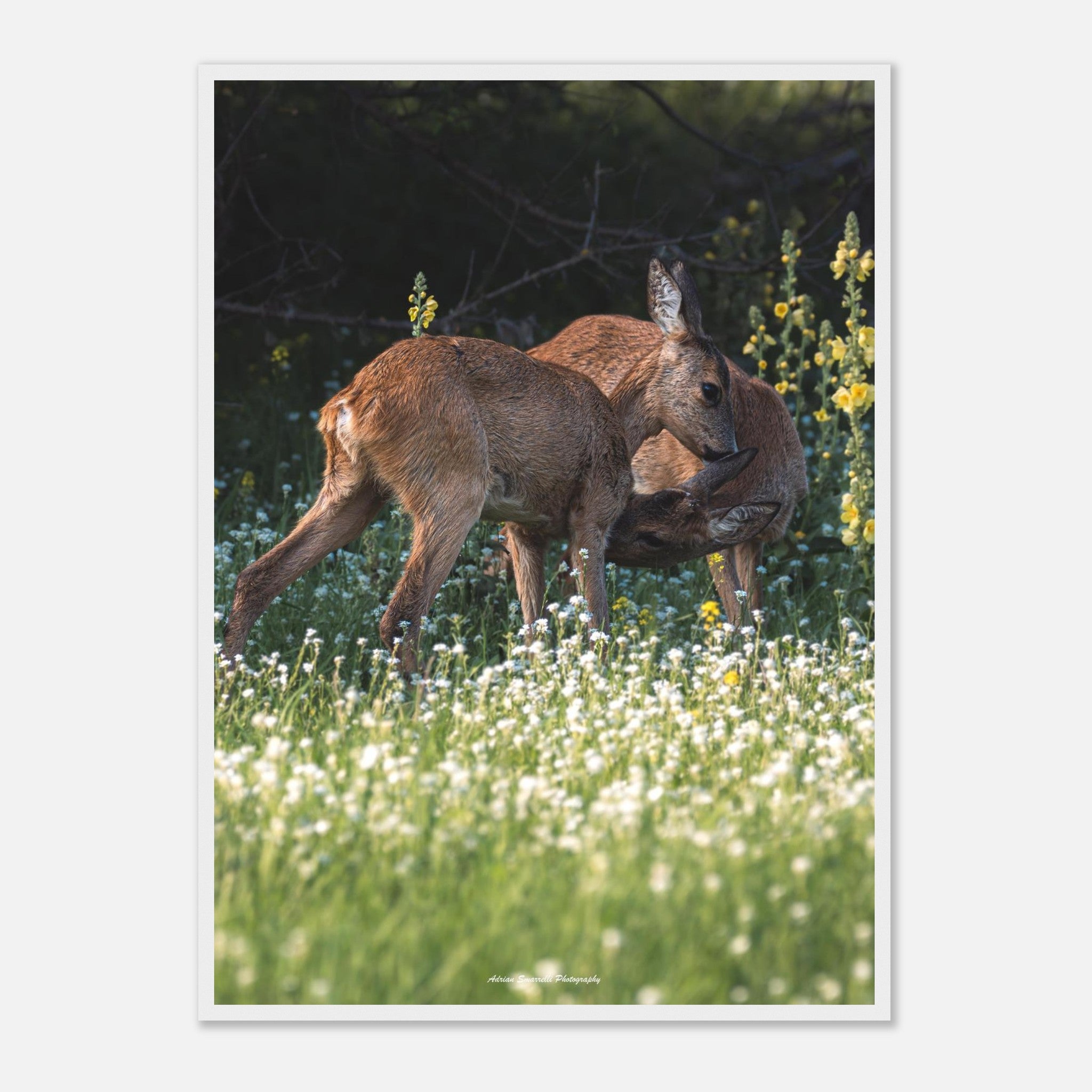 e44c3b05-8d48-4840-b193-6f1eb487aa23