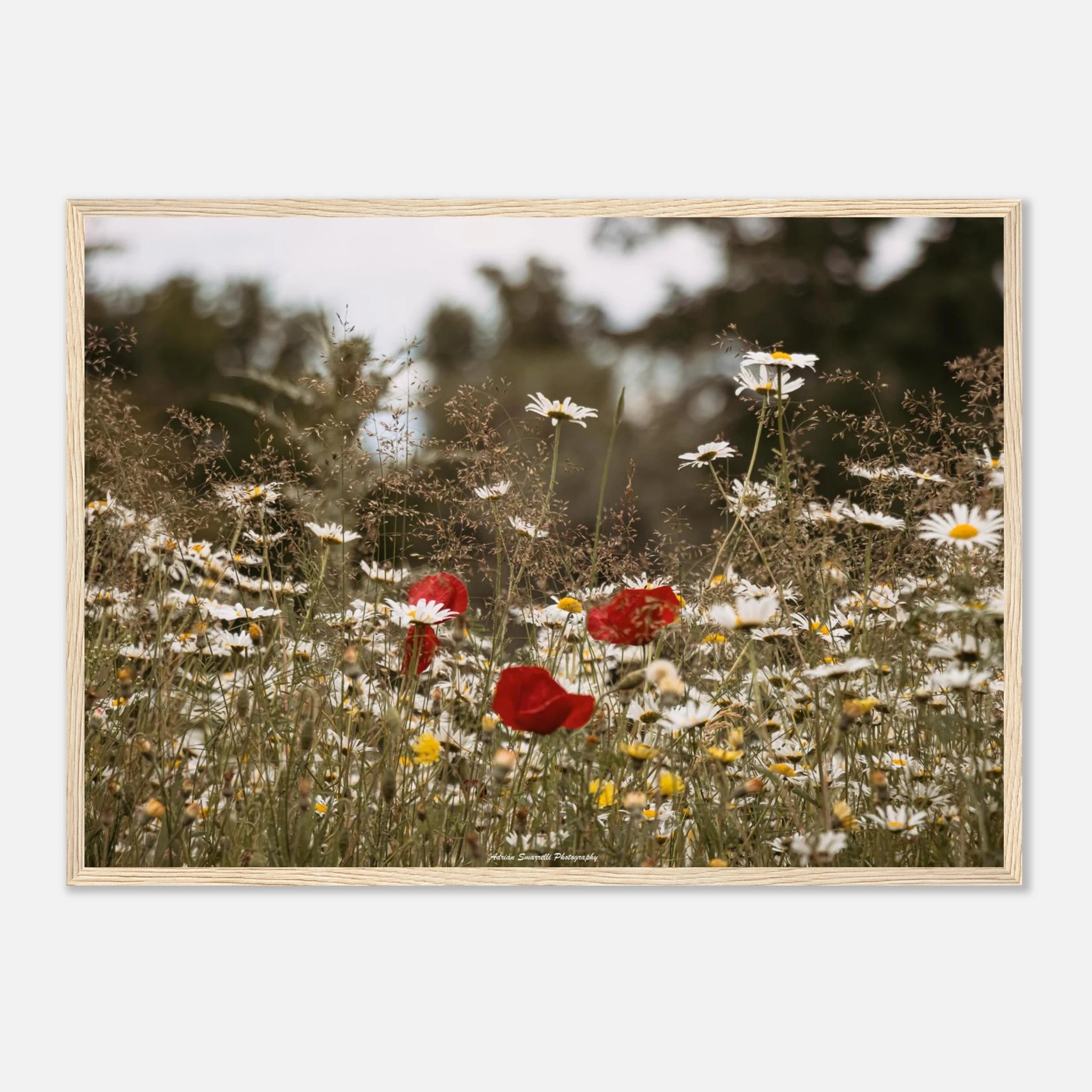 e49e6e9b-e274-41fe-ba49-e3b771c345dd