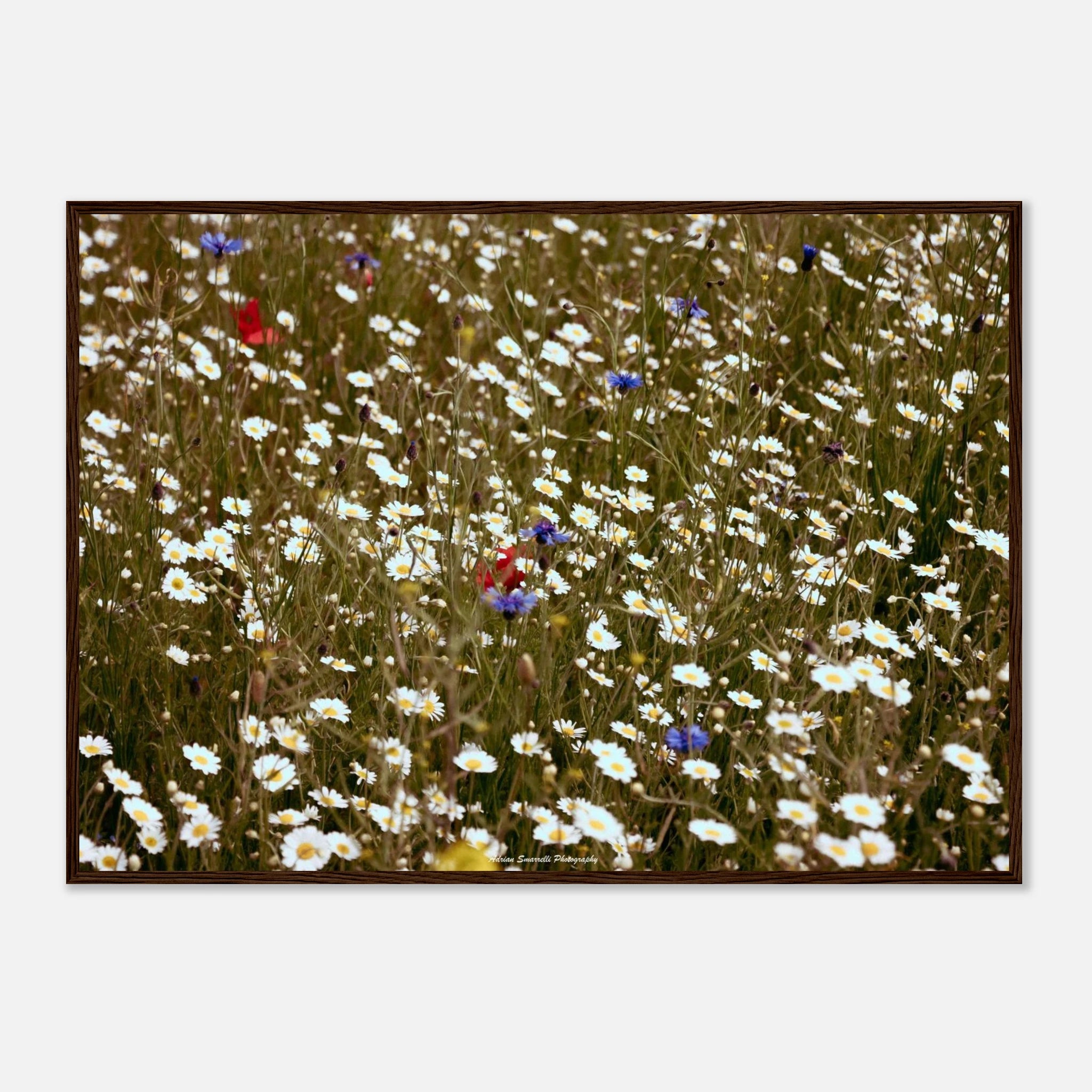 e4d8647f-dc0c-4bf5-ab21-d4cc5eaf69e6