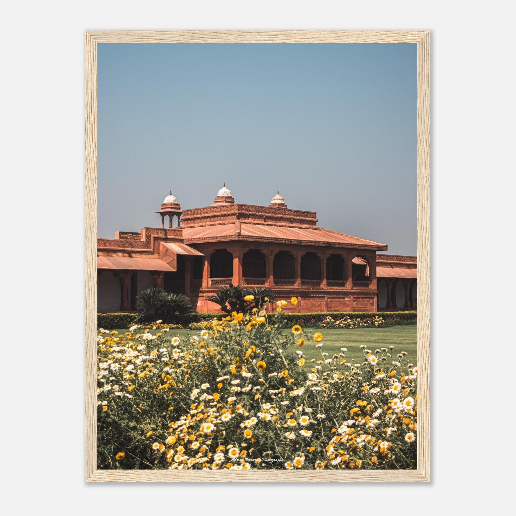 e5176f89-cfdd-47bc-9202-1e9bb254607d