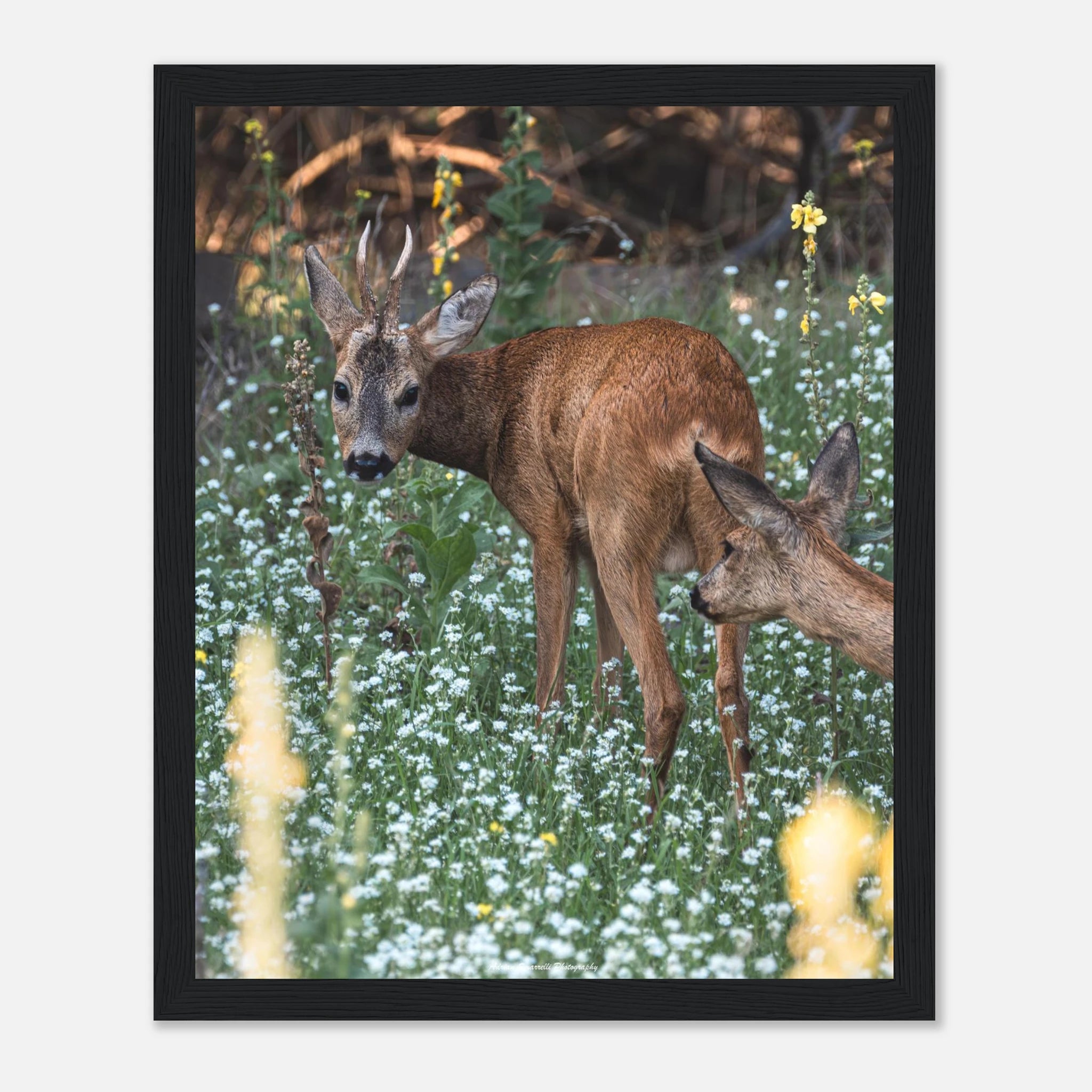 e5702817-2d2c-4d6c-84c6-32ae9e1f357a