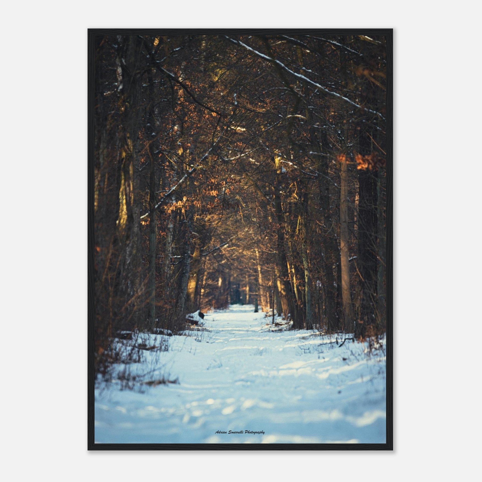 e74641ba-c68e-40c5-8480-84928225557a