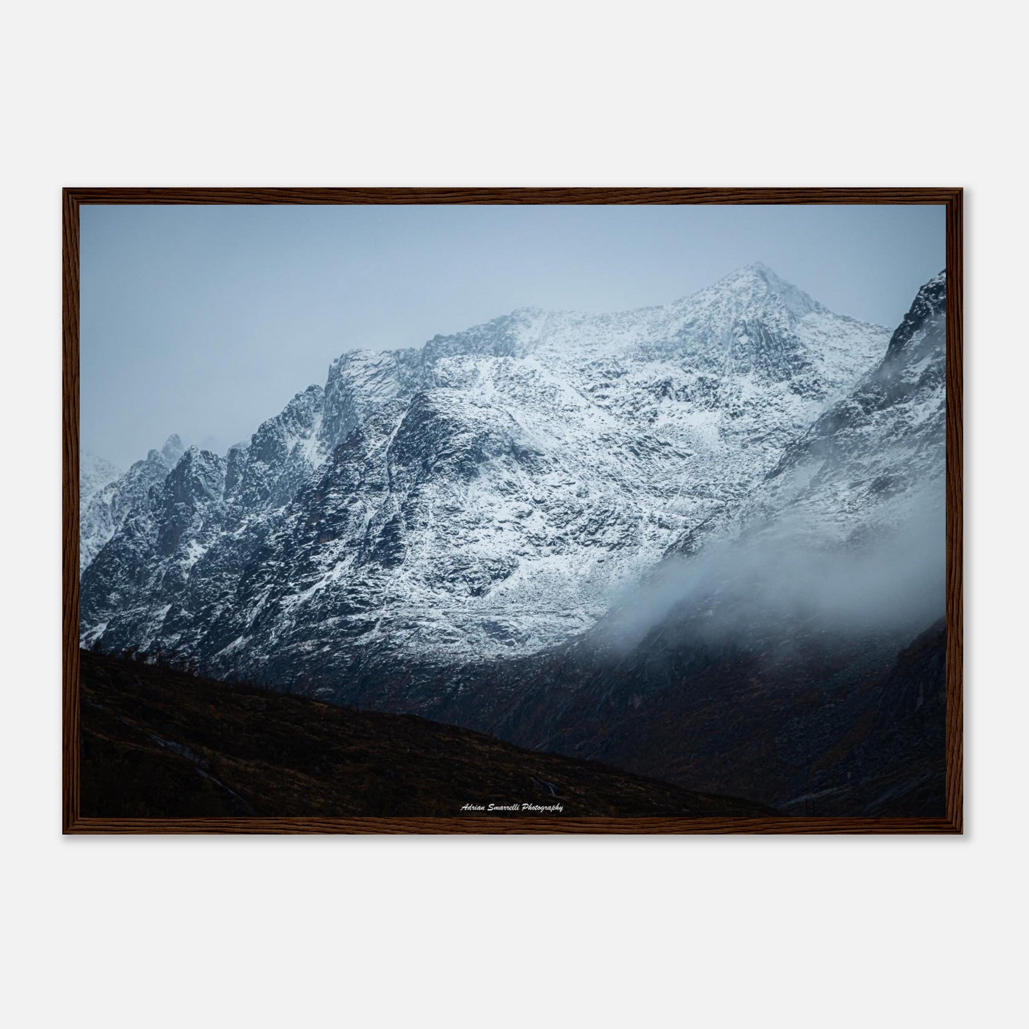 e8f8d95a-ab7b-4518-a81e-b07ff5a5575f