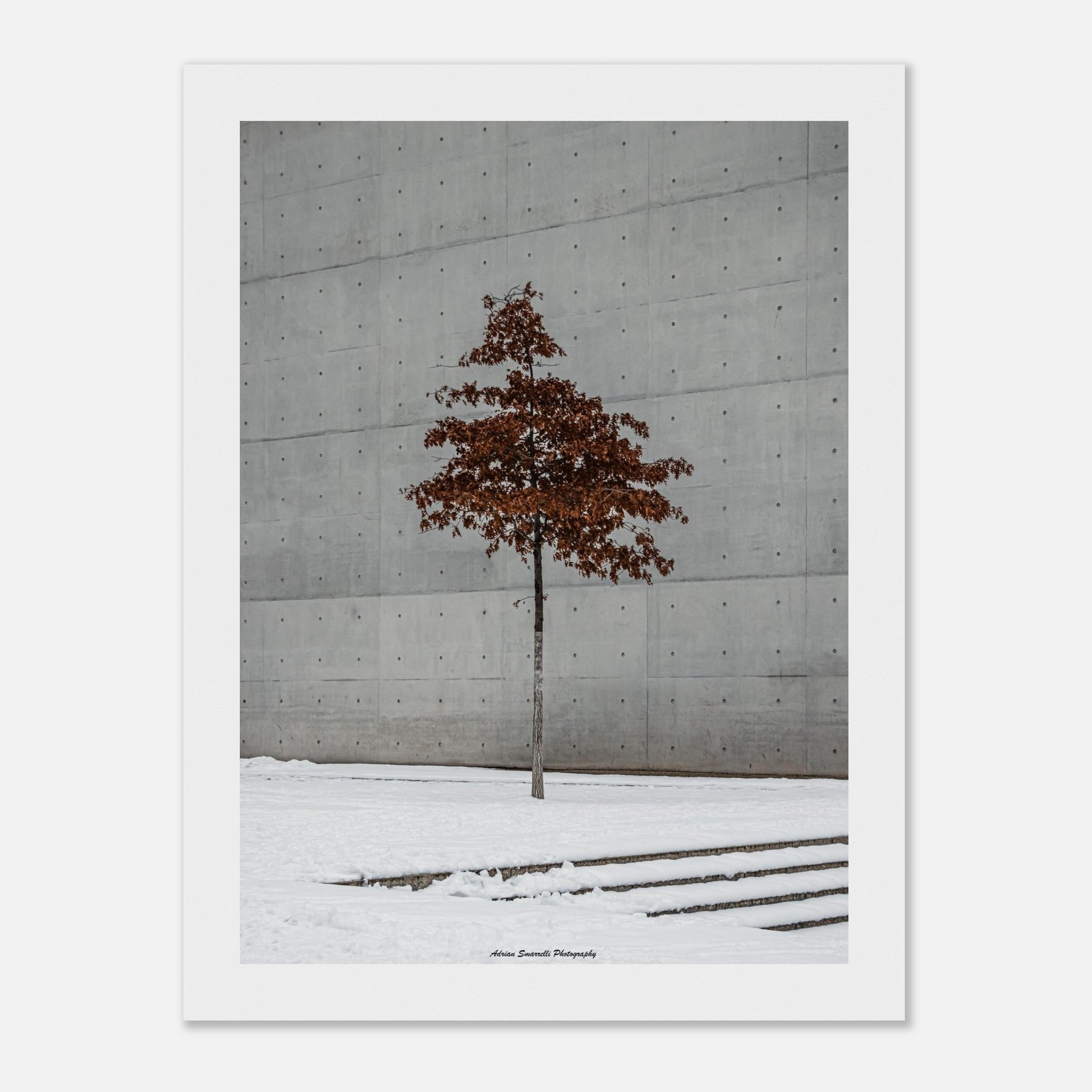 e9639606-fa36-4022-9e80-abd2590a8113