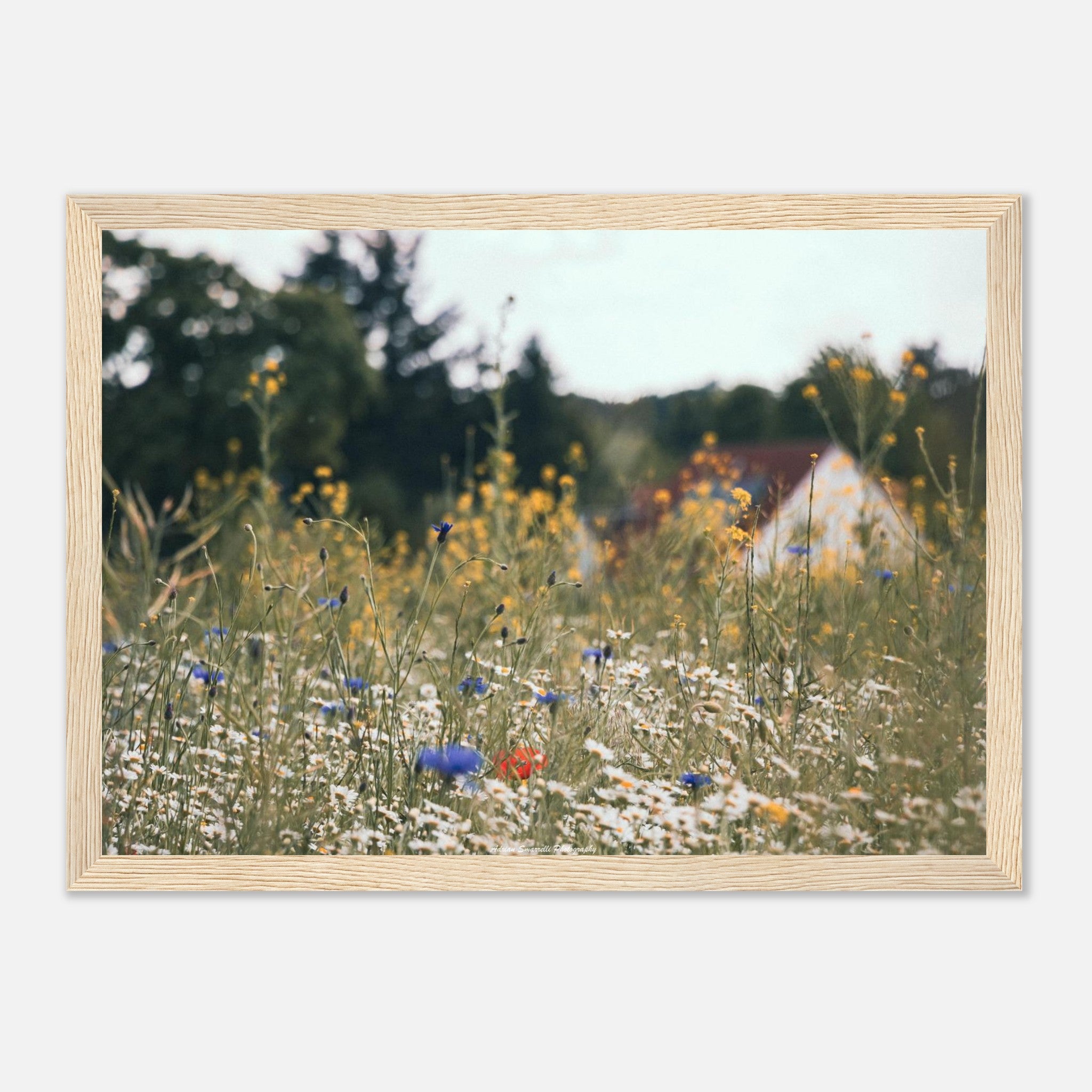 e9f9539d-a58e-4658-8a5a-4deff6dd3884