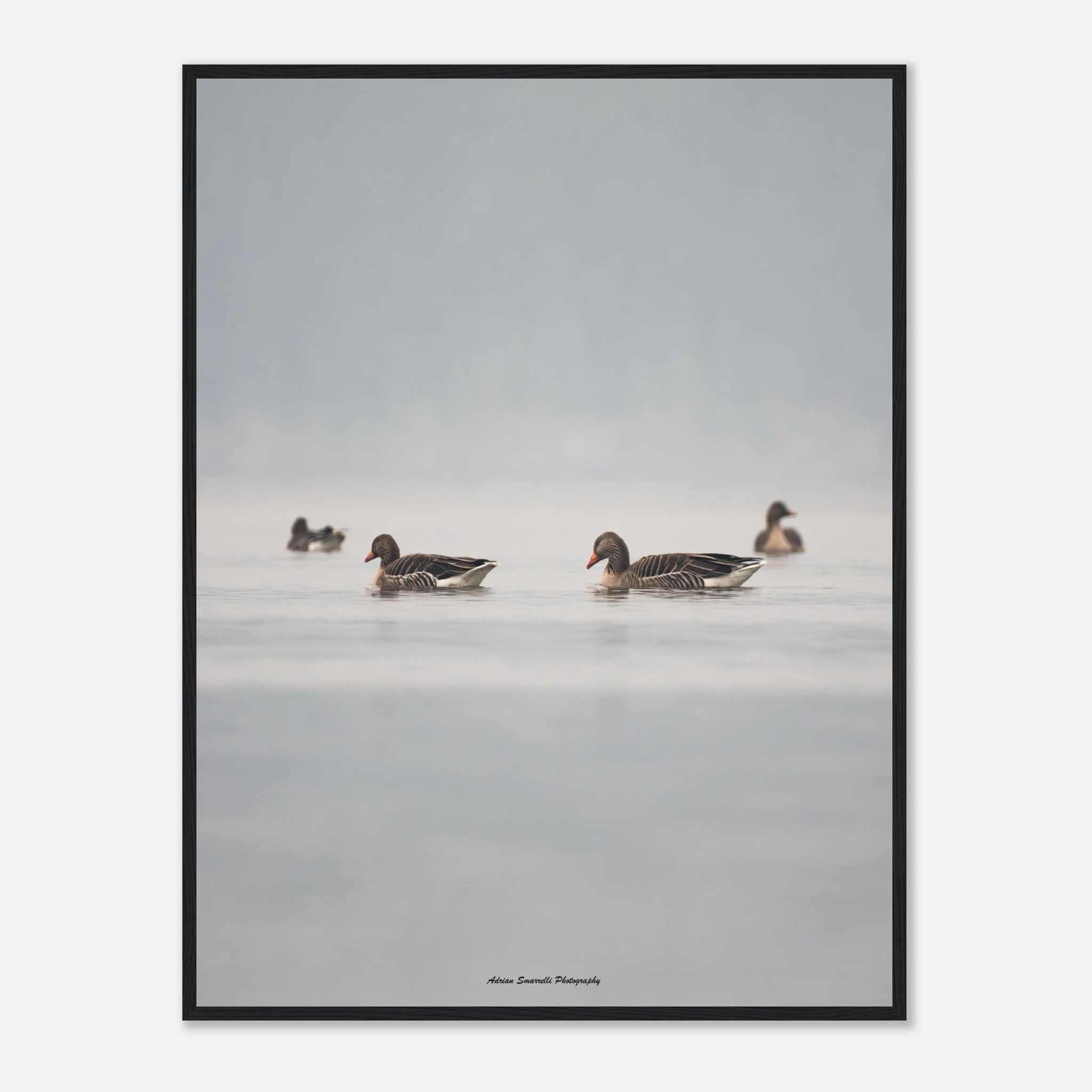 ead37c4d-dcf5-4e9e-8589-ced816470359