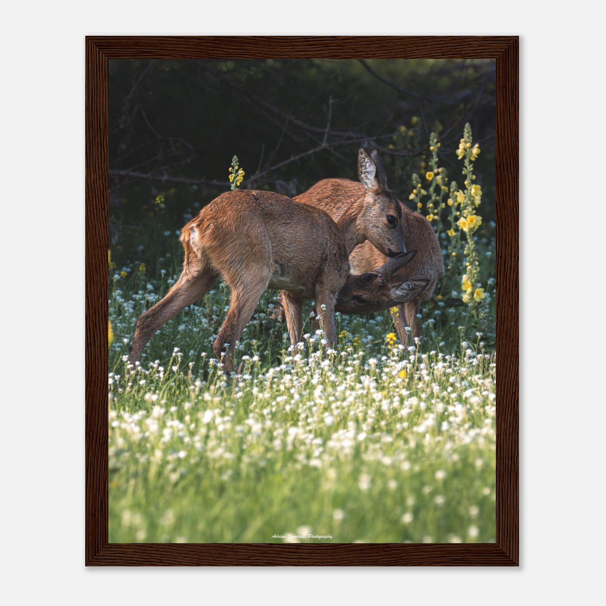 eb4324d5-2187-49ca-9723-d163607fe5b7