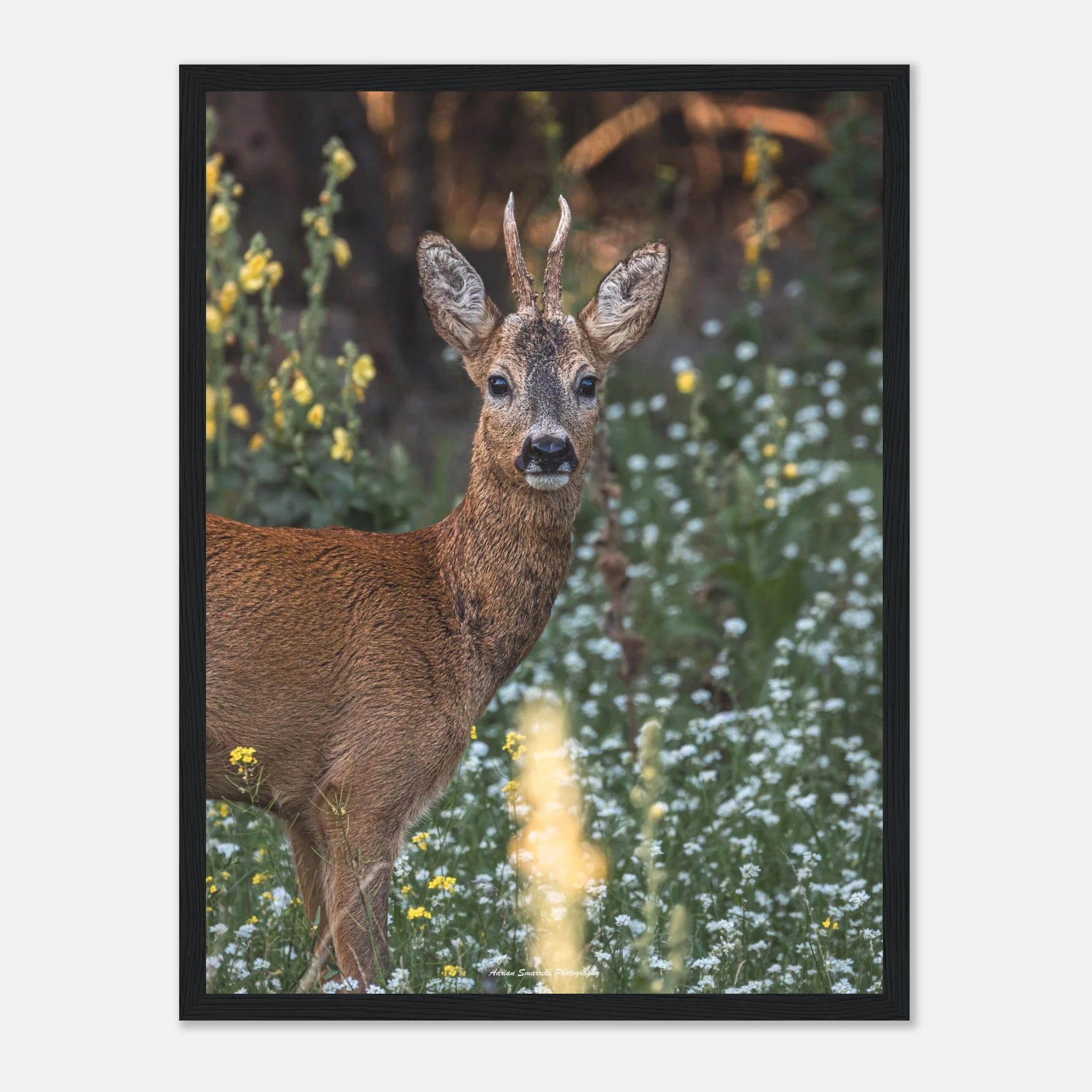 eb9c1e04-ed96-412f-98e6-4f948a8e2684