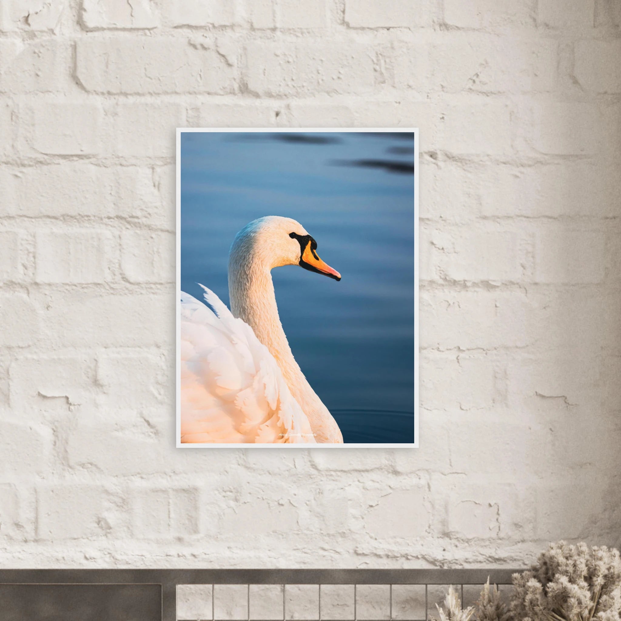 edde36c6-fc47-4be2-8a38-3f91314cc74c