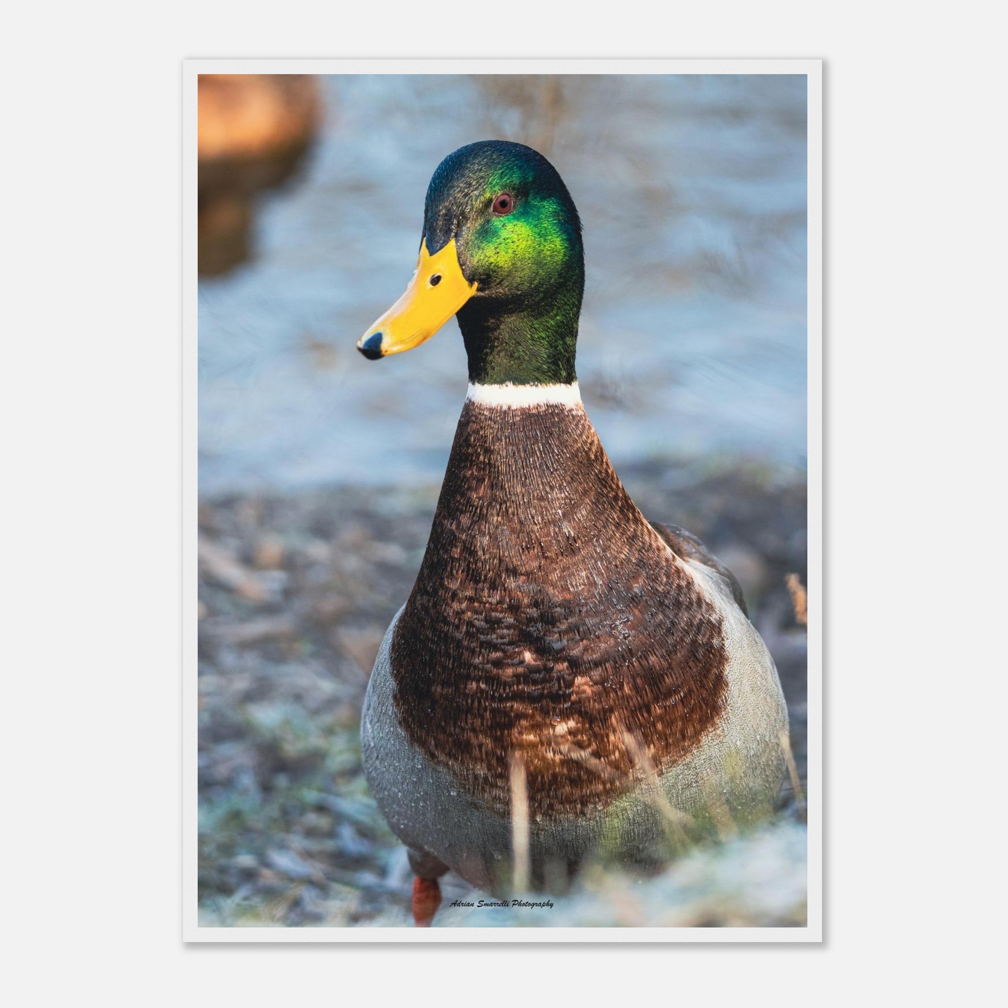 ee5427cd-eec8-4ced-b129-3f98c39ef14f