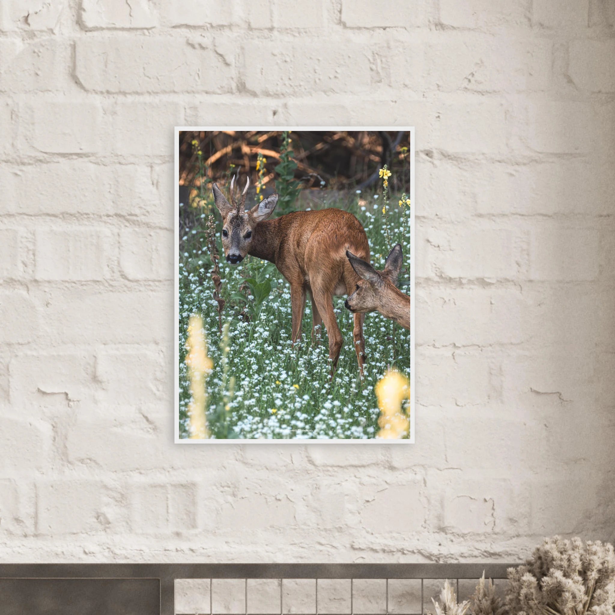 eec79032-dd41-4468-9257-d5275c9f2a5c