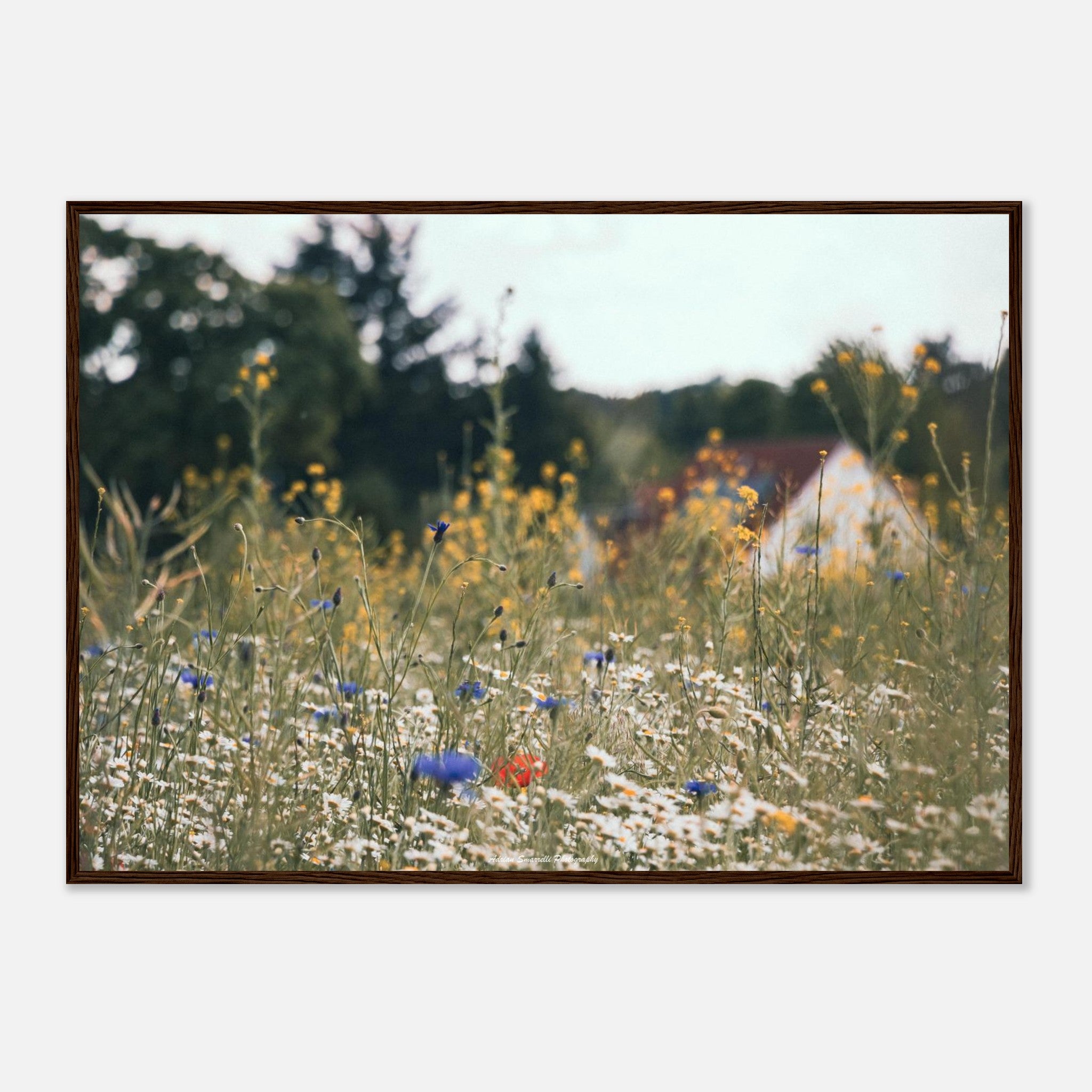 ef7ff020-febc-4c92-80c2-1bf1bb3efbff