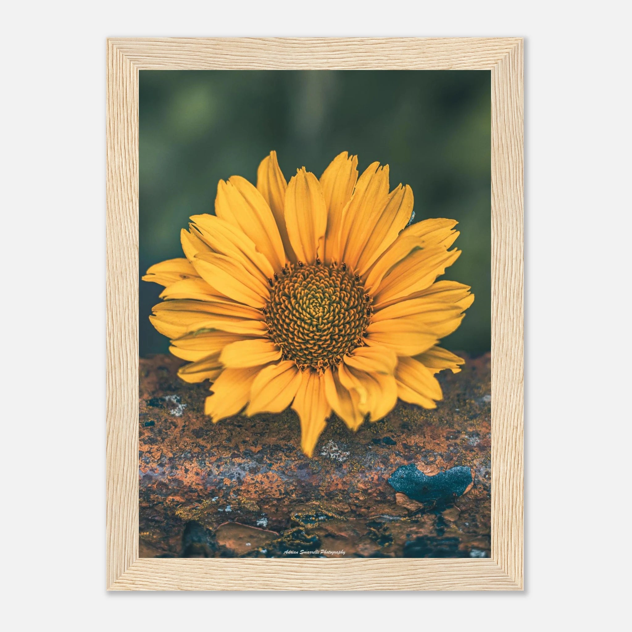 f01bd00b-afef-4b45-82d8-abd4ebaec8ee