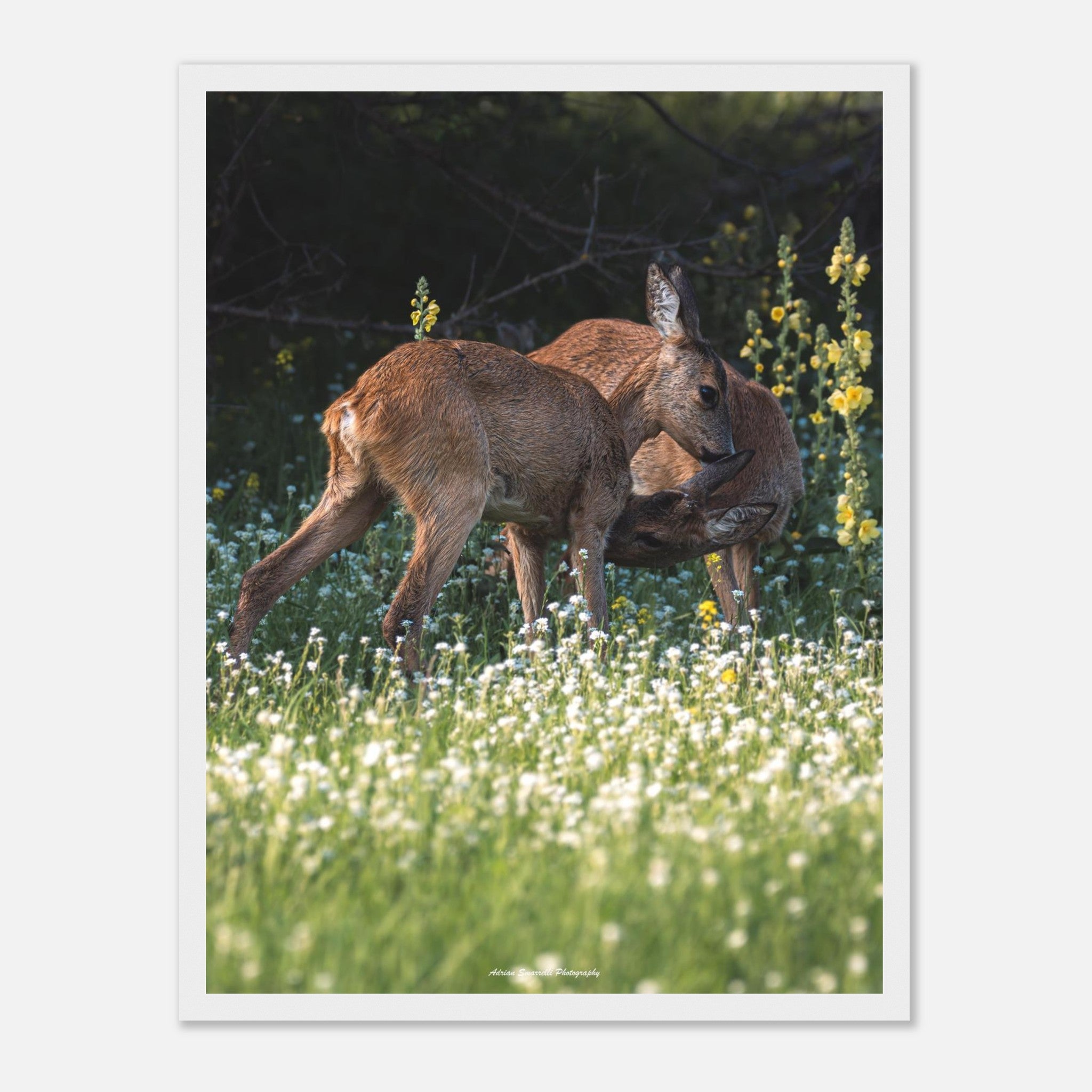 f05d2104-c31d-4b61-aad0-5d053c40b97d