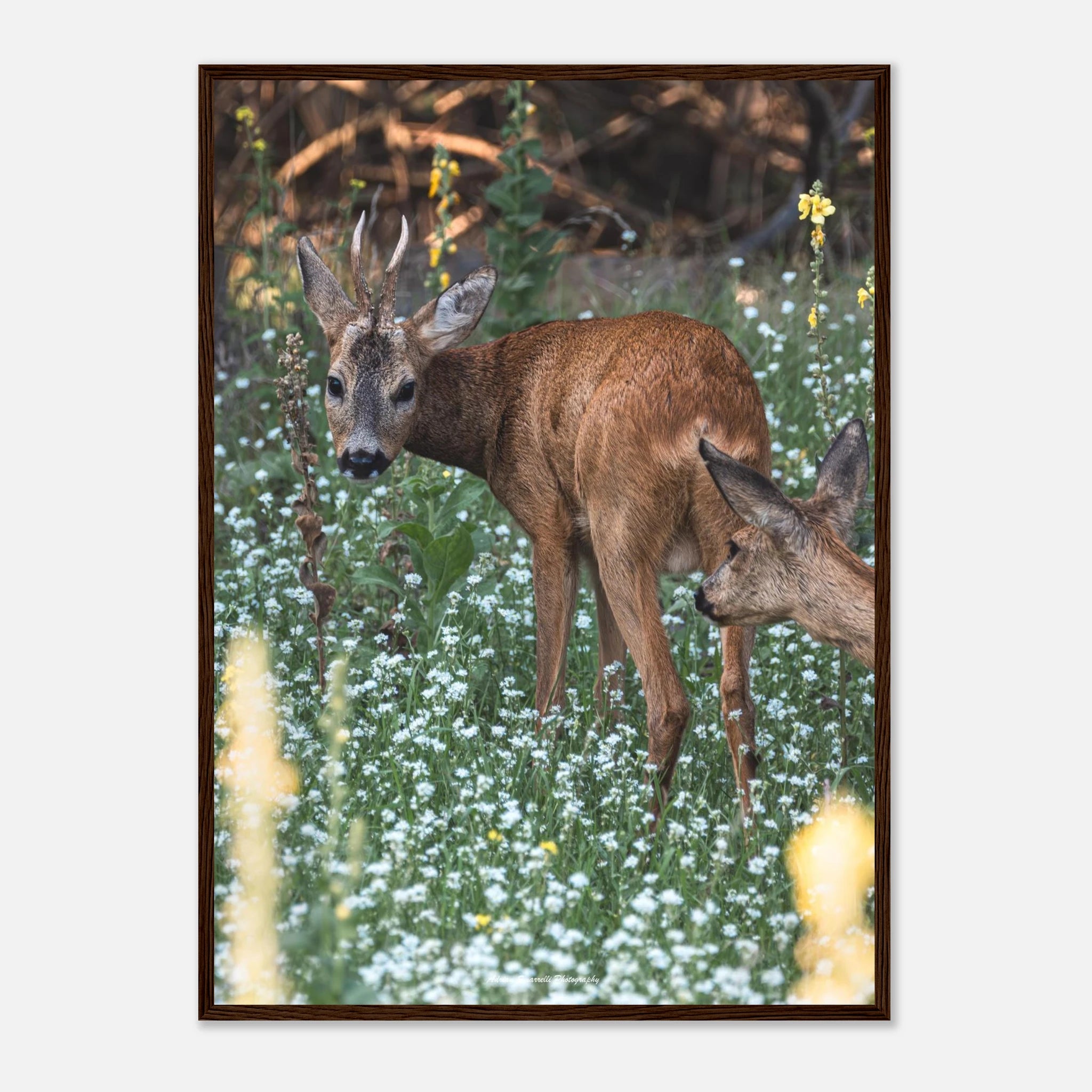 f0748cd0-b516-474e-bcd3-71906ab4afc5