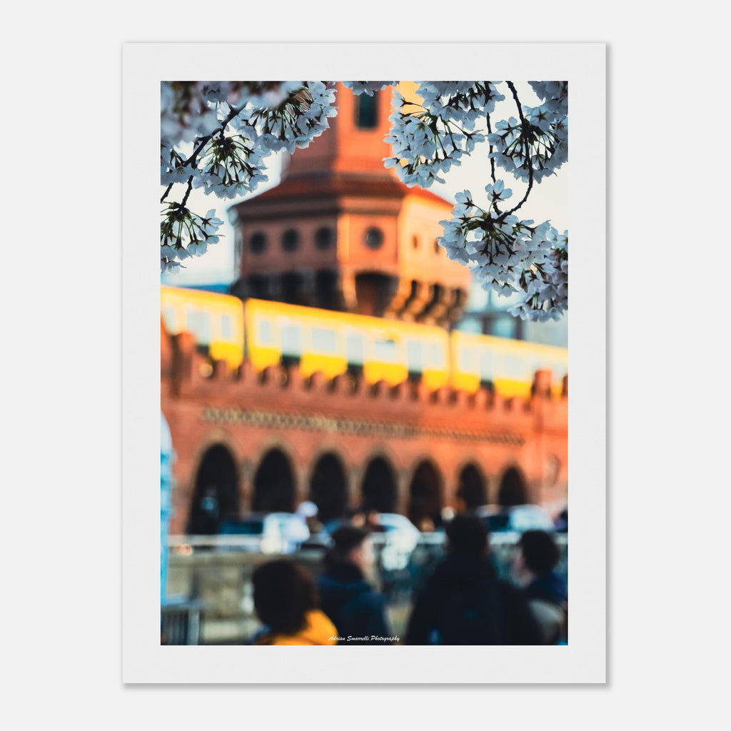 f079159d-baa6-4d87-956b-a87568655d88