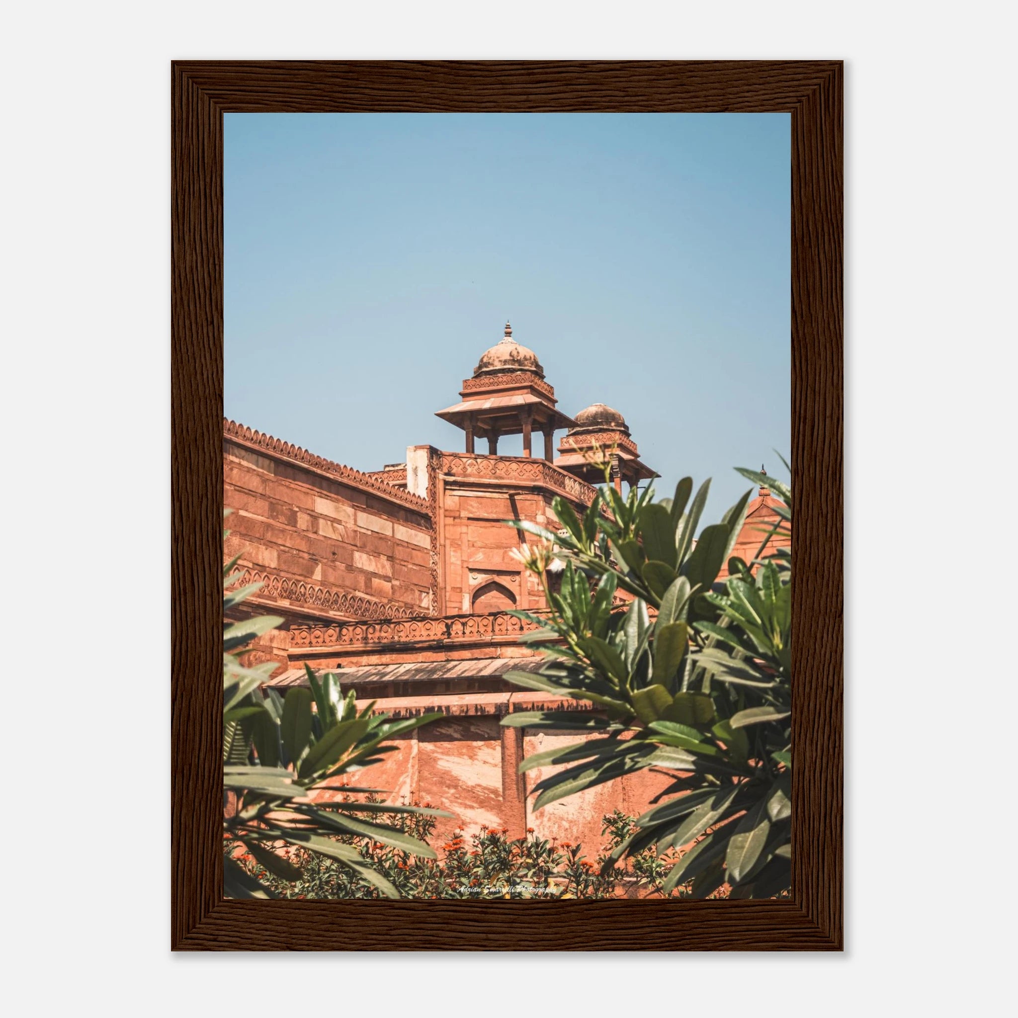 f0a8cfa2-8283-4d3b-b084-5381b5b919de