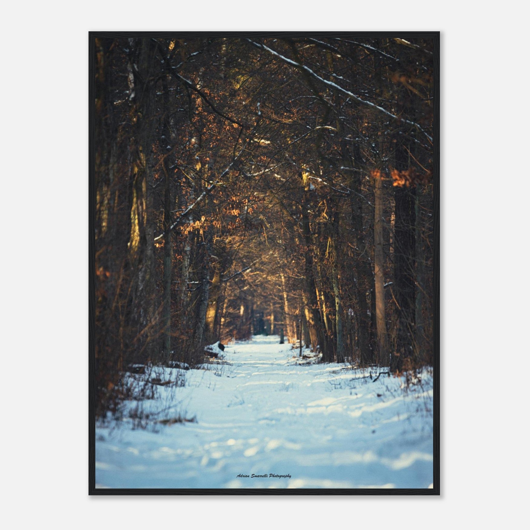 f0be3251-da3c-48a5-9cb5-166b23c5941c