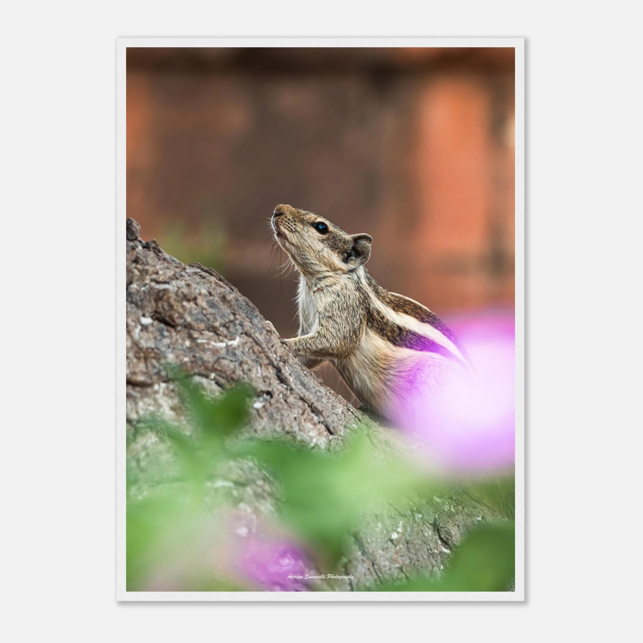 f112d2b9-5a3e-413c-957a-7aa5bb0bfce8