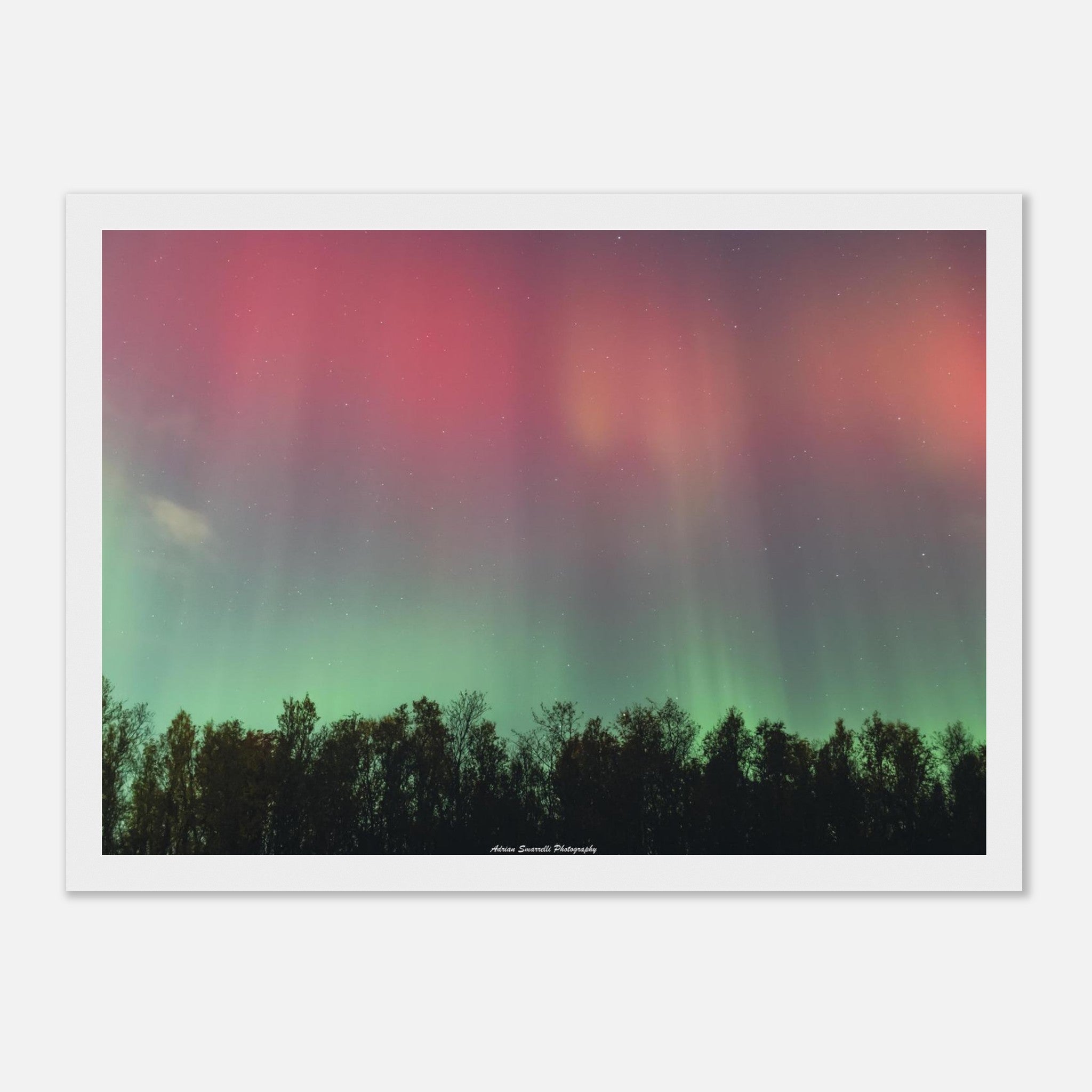 f17aed7e-0804-4d8f-866a-c60664c11b97