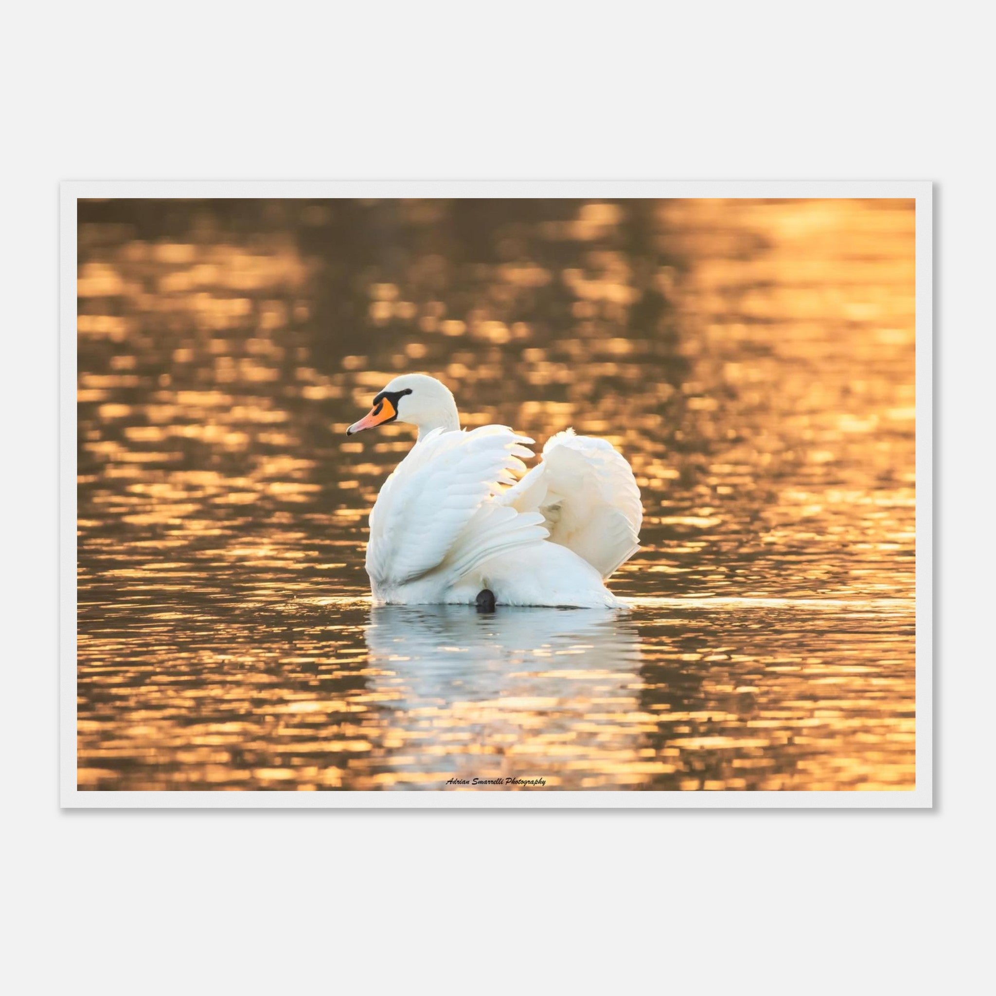 f2110c19-45e9-4471-b779-fcff4ac57836