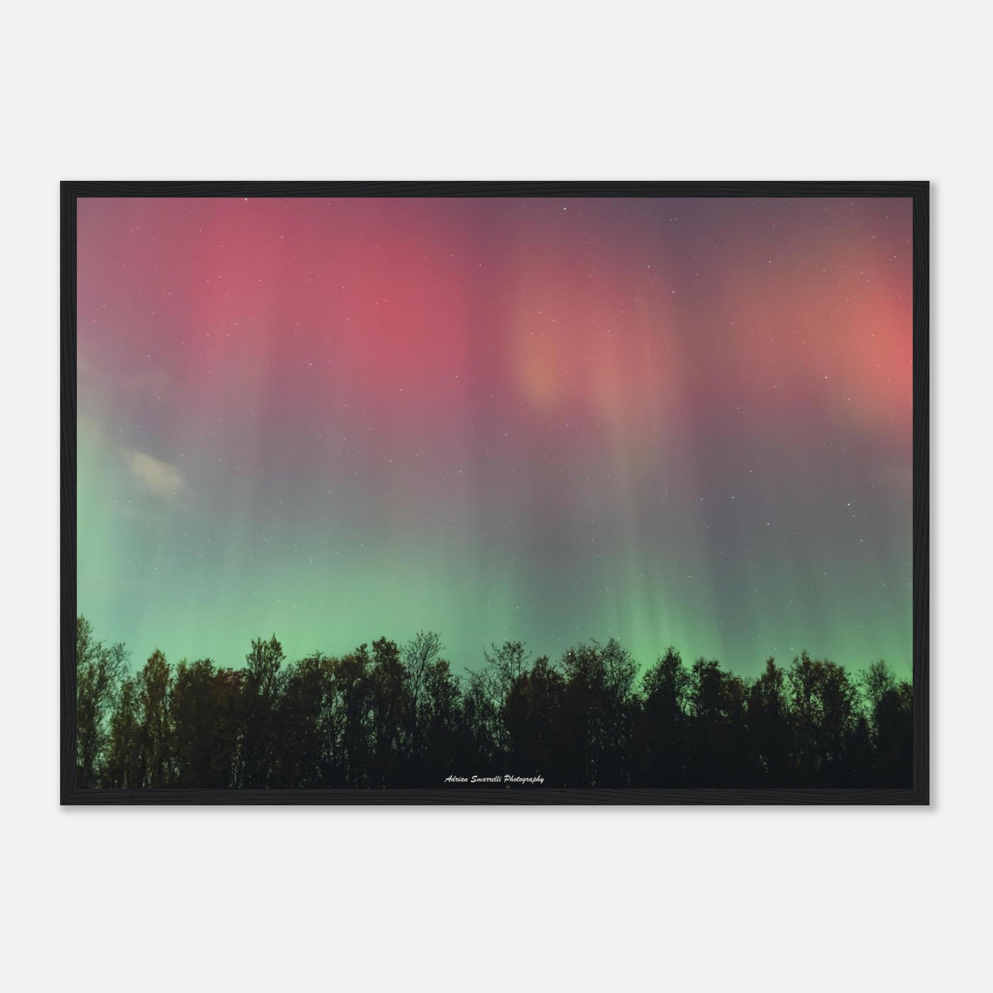 f3a8a63e-9988-42ff-ad52-a62238395f1c