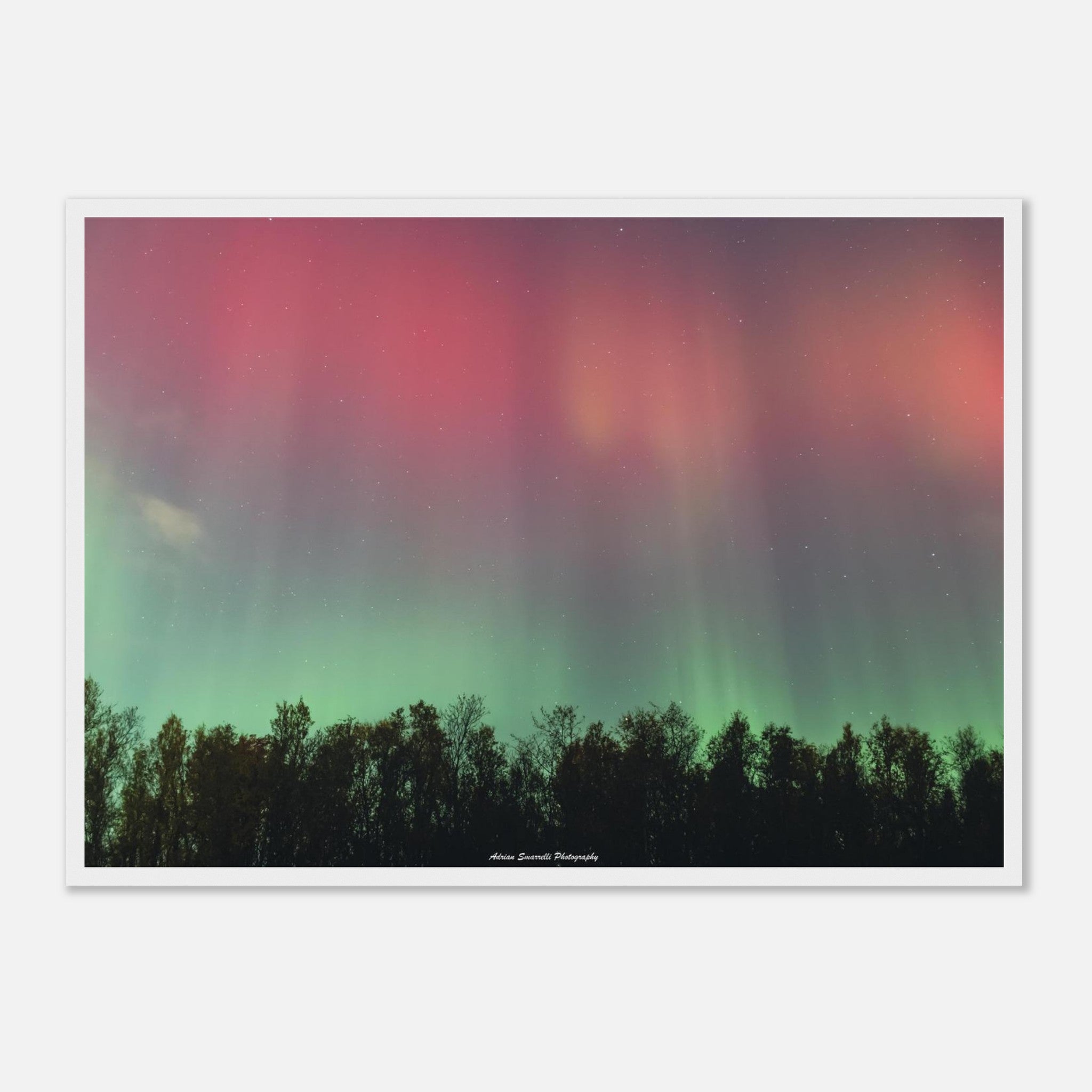 f4826501-ba95-464d-b138-116bc47d3f1e