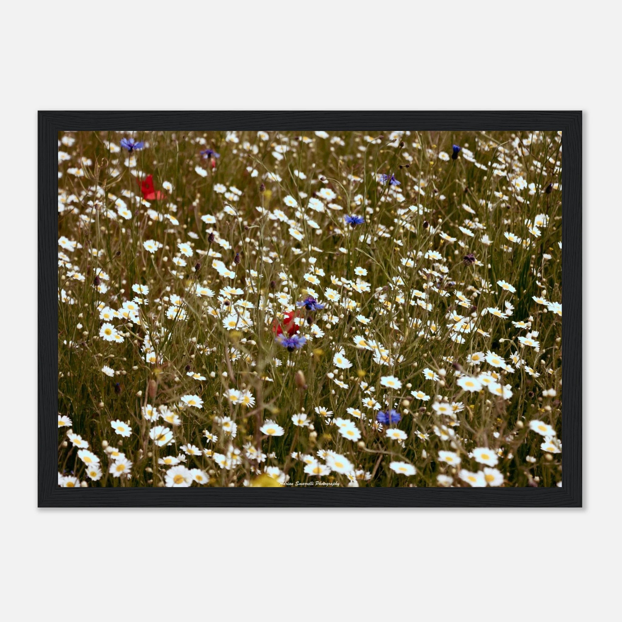 f561ff23-7b5c-4319-8522-75b9bf0ca384