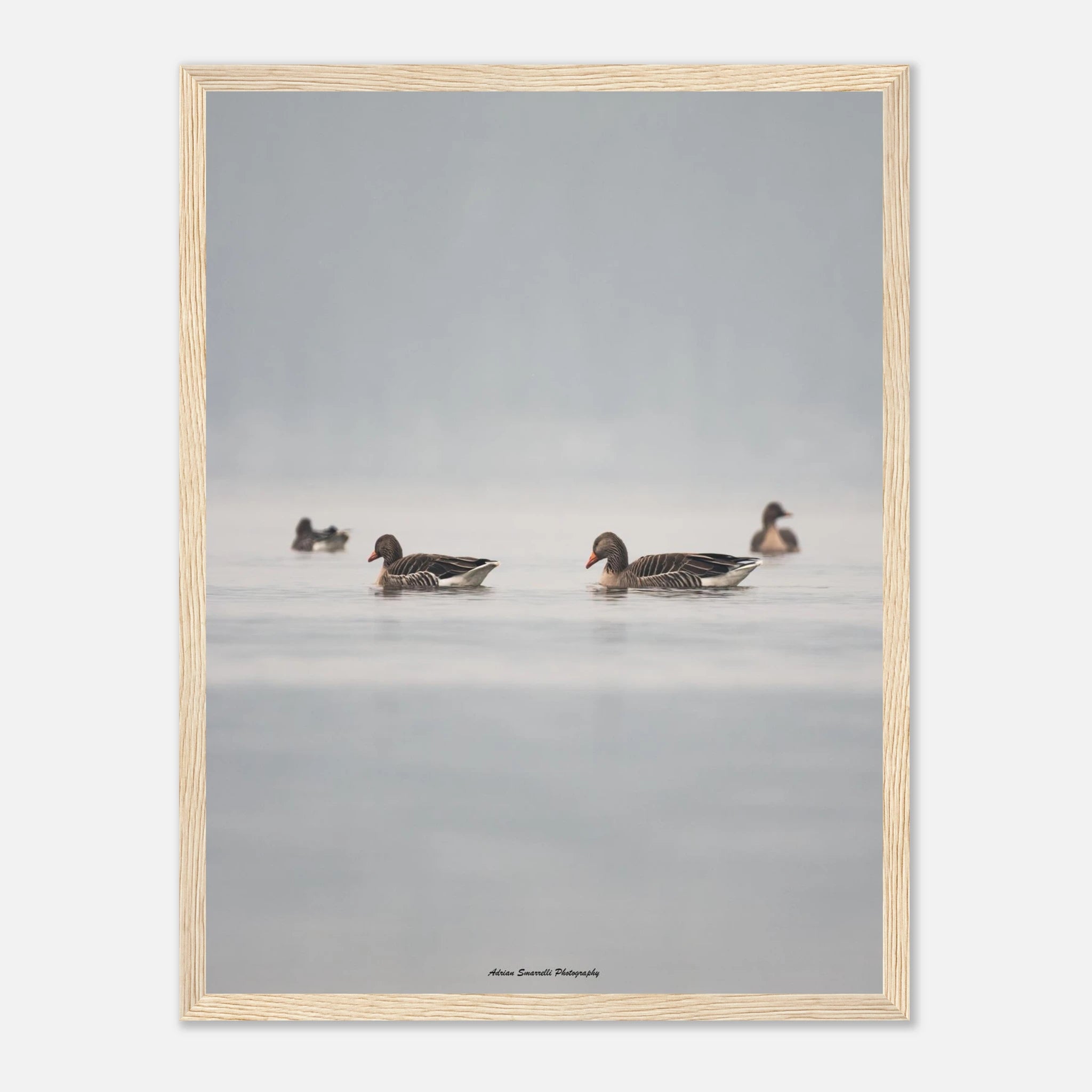 f5669acd-410e-4629-a078-9b6817c28e8b