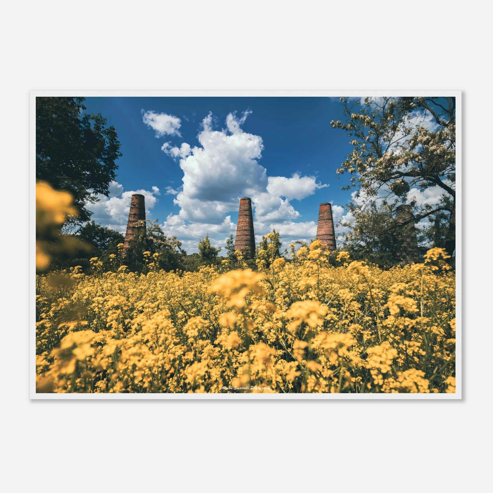 f62ee031-9d72-44ac-9452-6aa0de0125d0