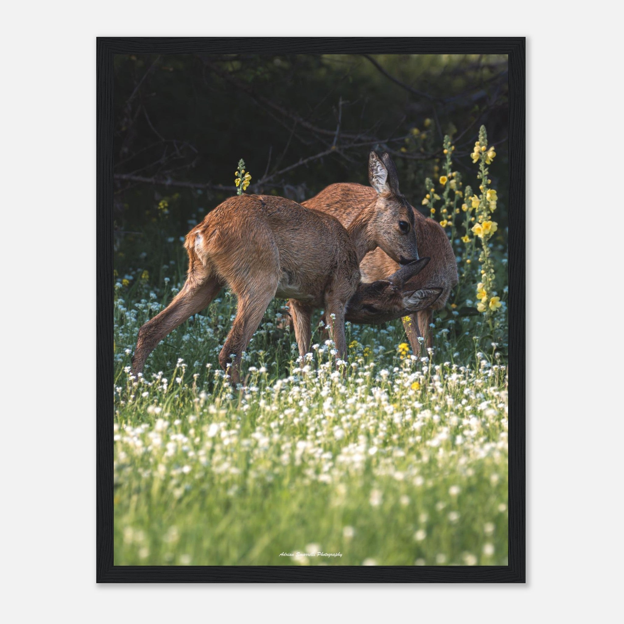 f65de324-ddc0-4fb4-90f4-5232dcfcb266